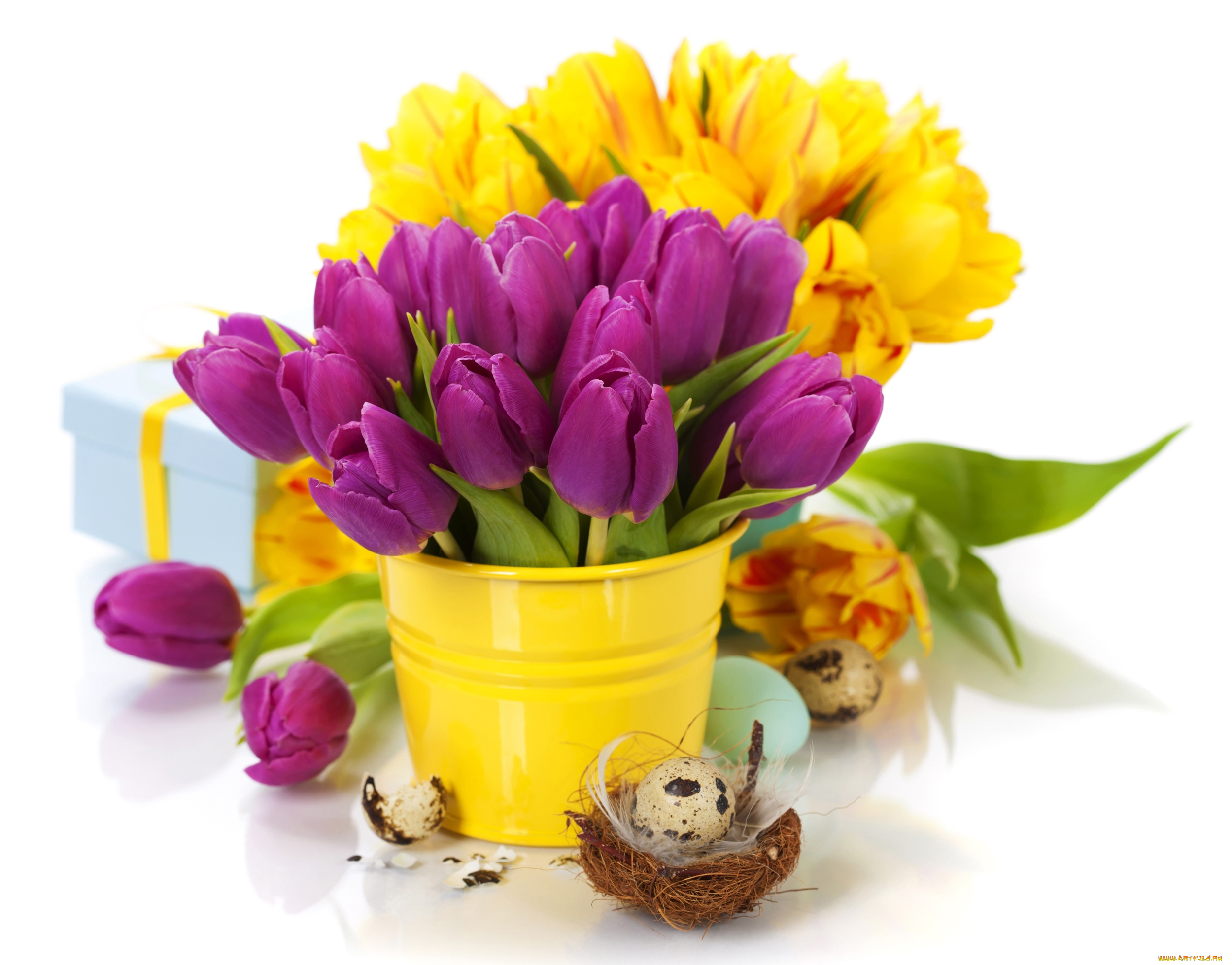 цветы, тюльпаны, букеты