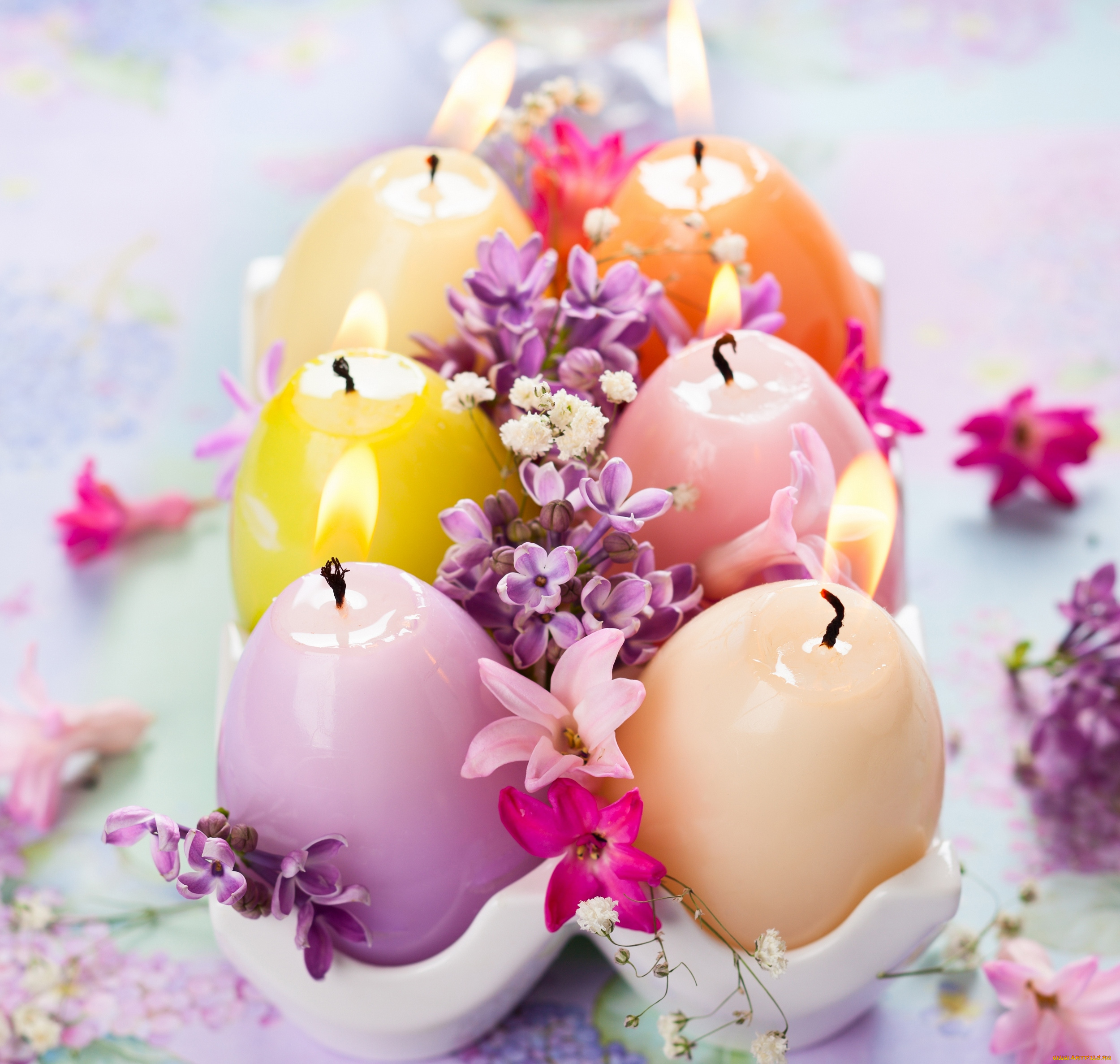 разное, свечи, цветы, красота