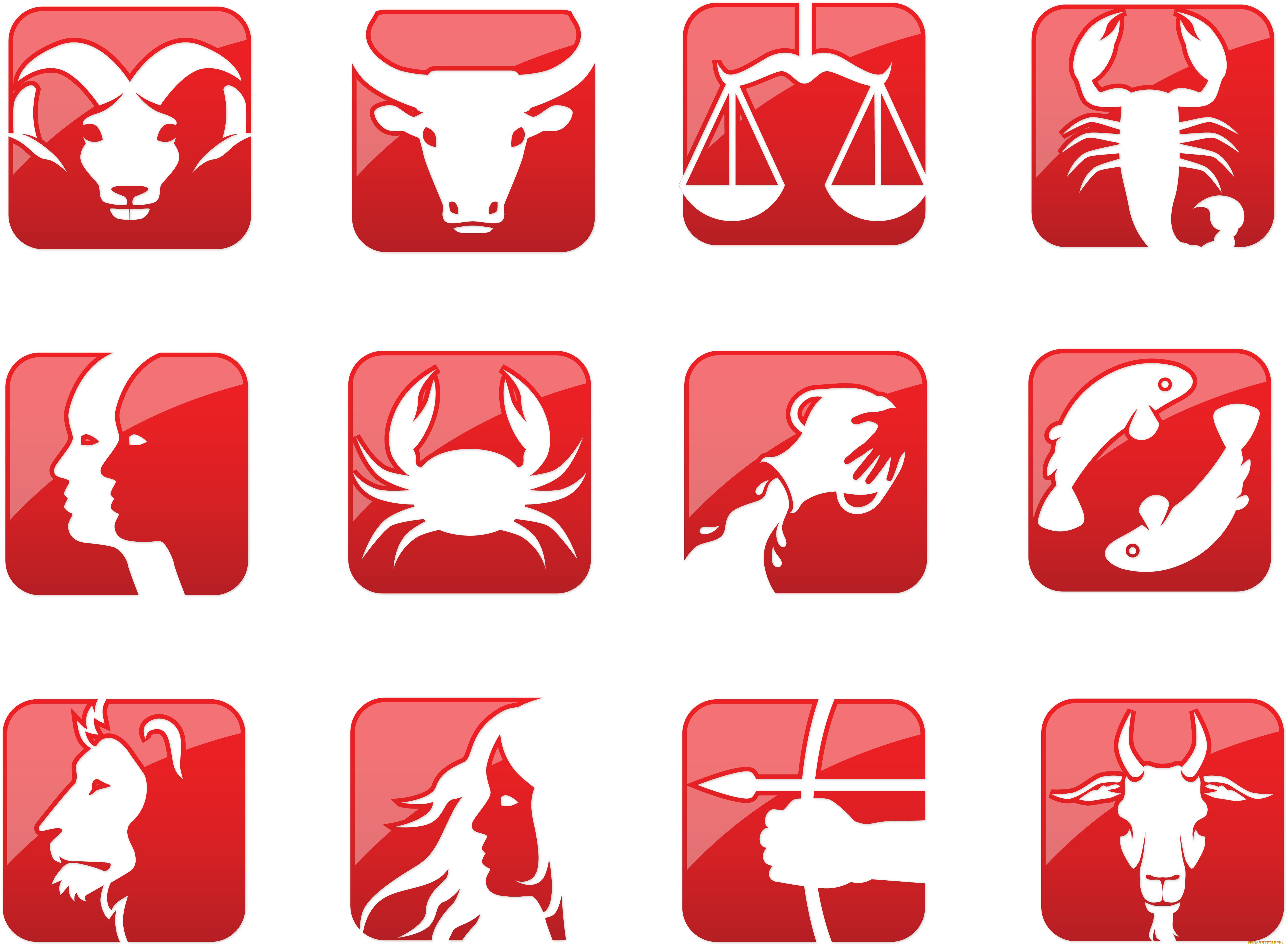 разное, знаки, зодиака, символы, знаки, зодиака