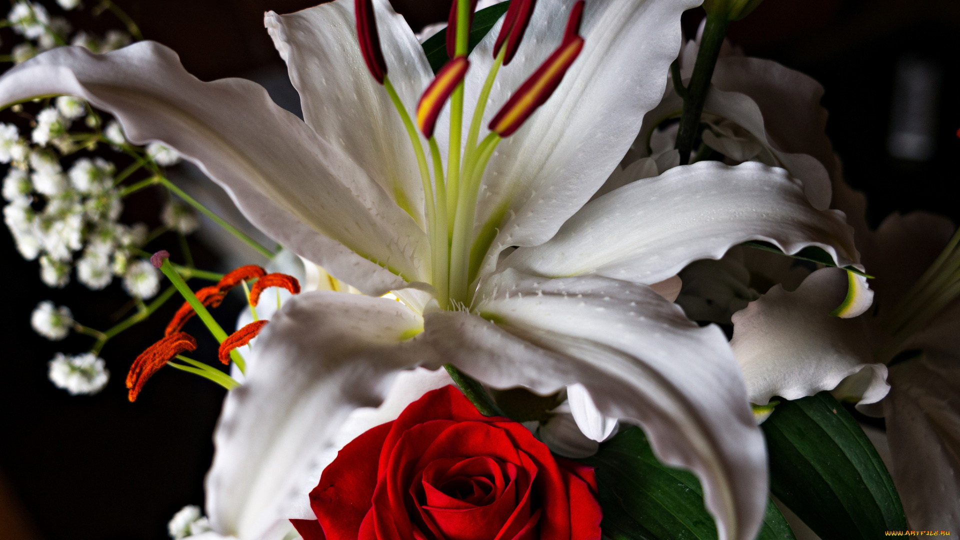 цветы, разные, вместе, роза, лилия