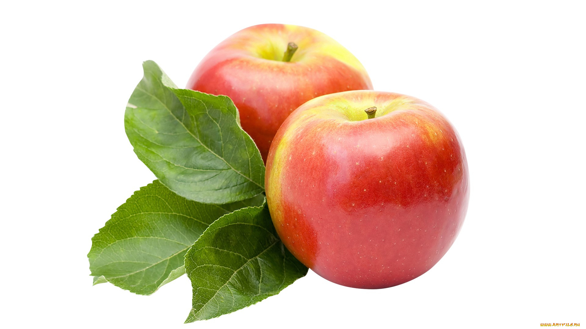 еда, Яблоки, фон, яблоки