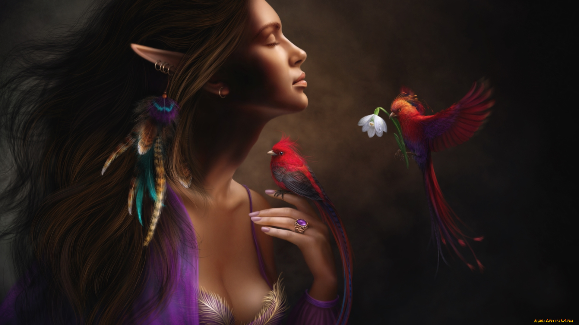 фэнтези, эльфы, эльф, девушка, настроение, птицы, цветок, перья