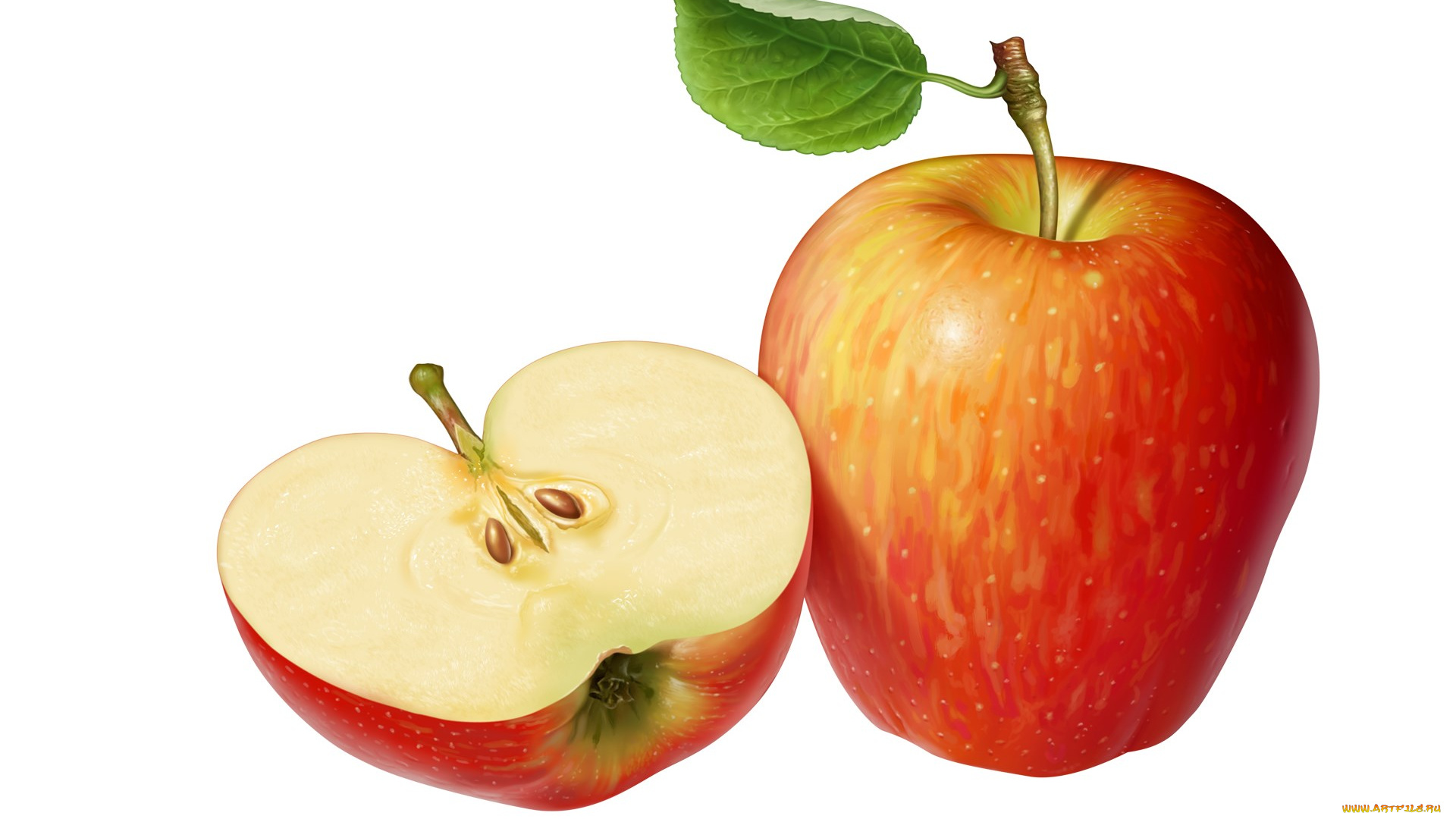 рисованное, еда, яблоки, фон