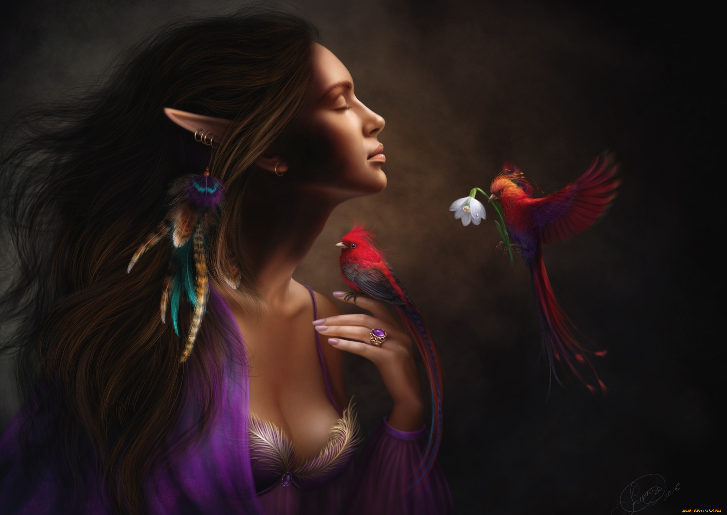 фэнтези, эльфы, эльф, девушка, настроение, птицы, цветок, перья