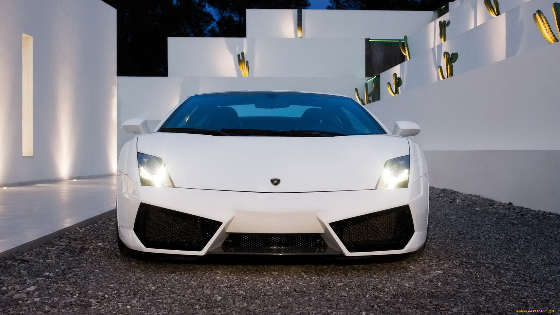 автомобили, lamborghini, gallardo, ламборгини, кактусы, двор, белый