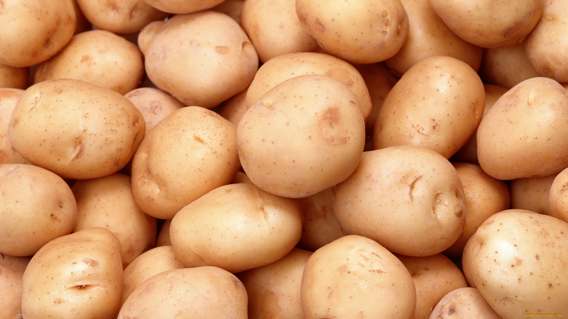 еда, картофель, картошка