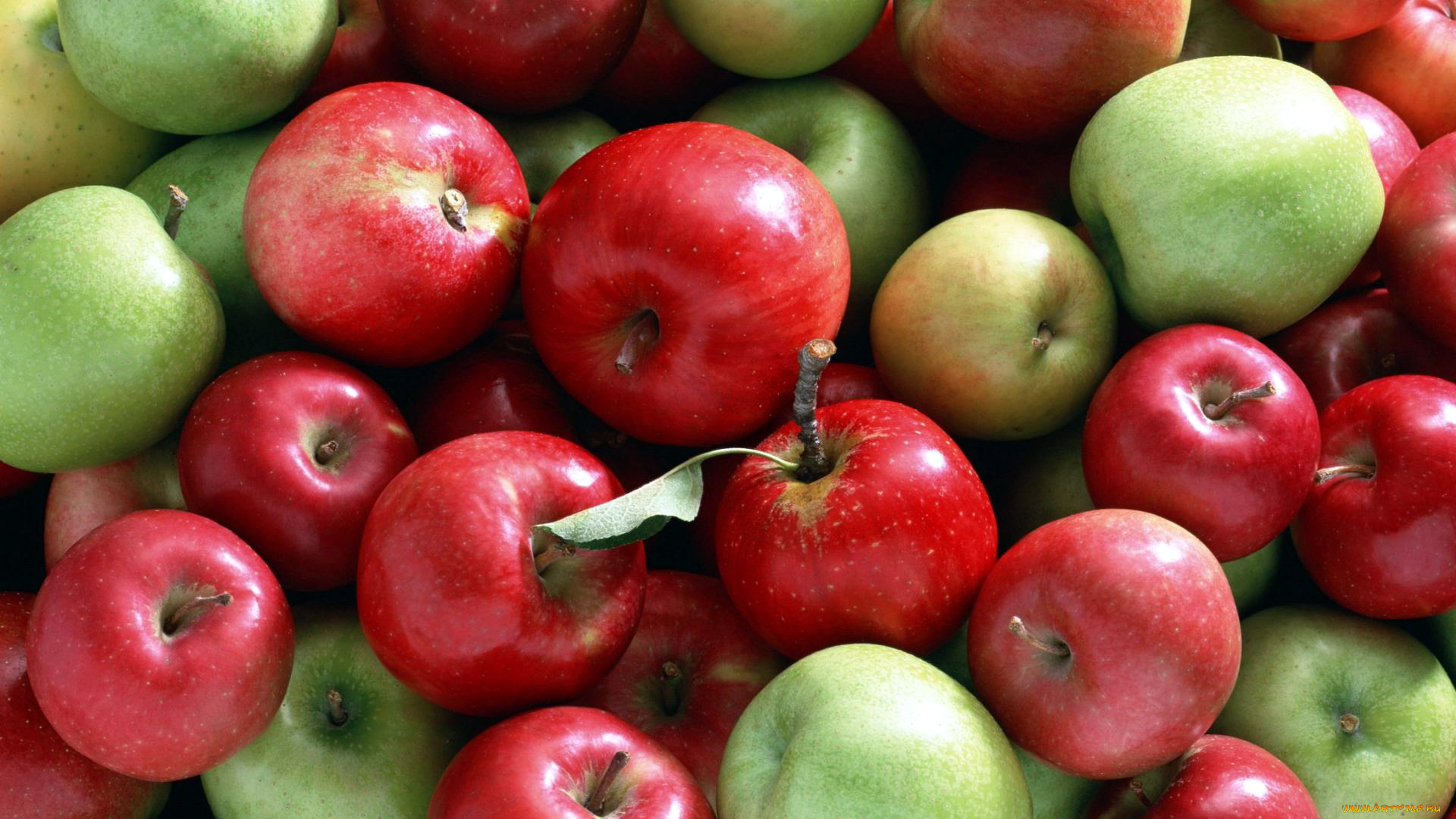 еда, Яблоки, урожай