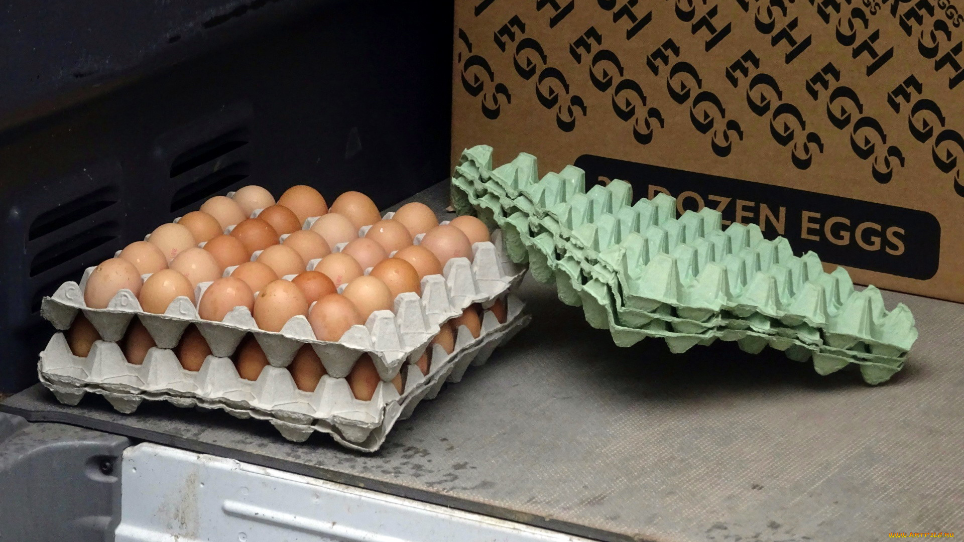 еда, Яйца, лотки, много, яйца