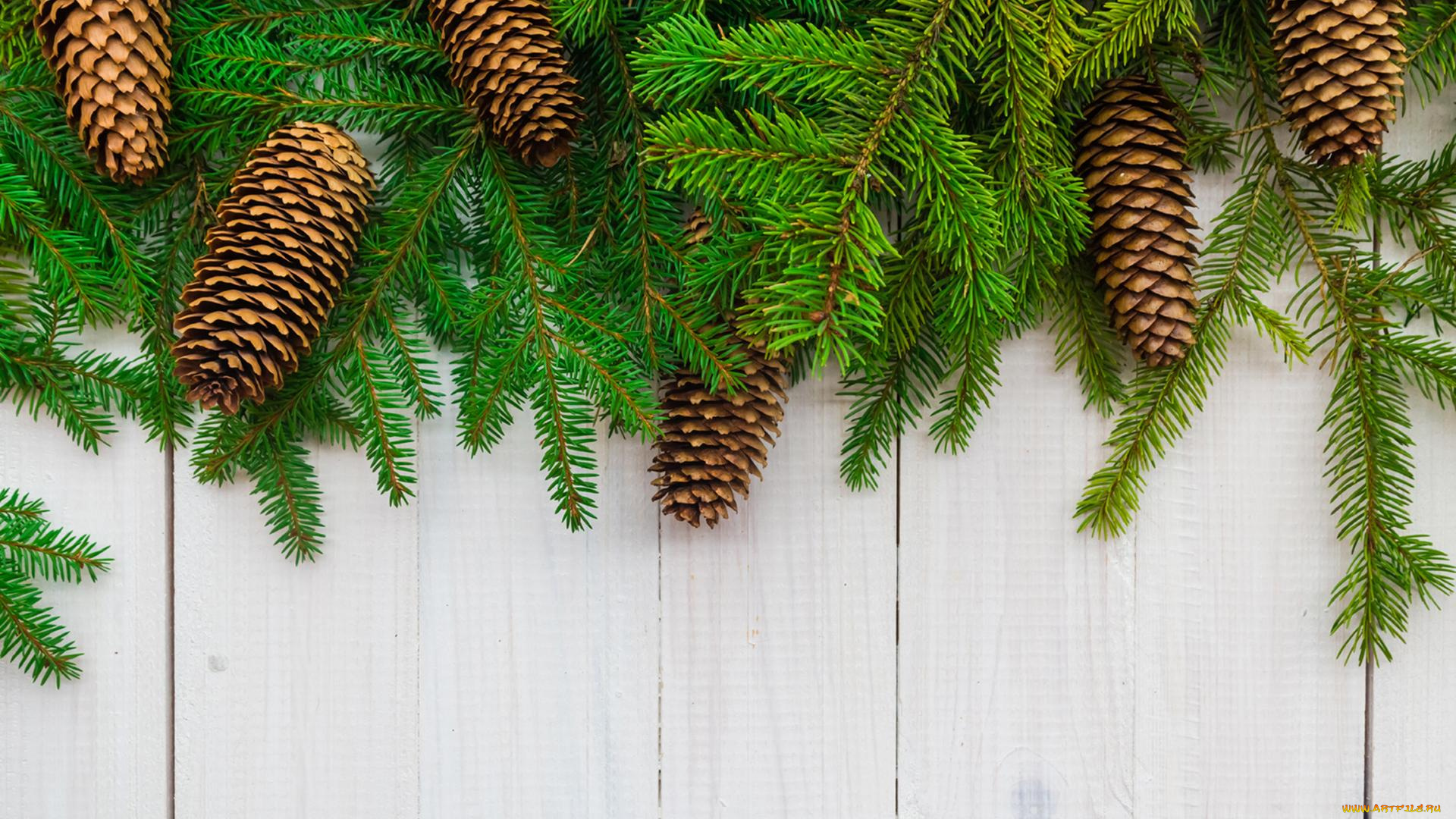 праздничные, -, разное, , новый, год, ветки, шишки