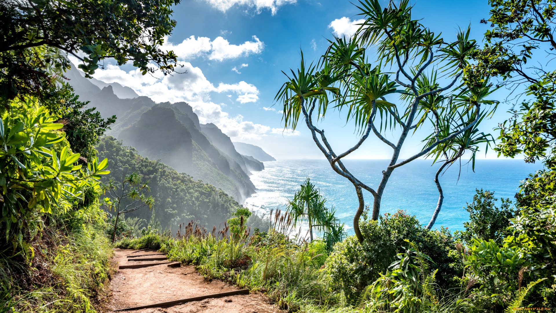 природа, побережье, берег, море