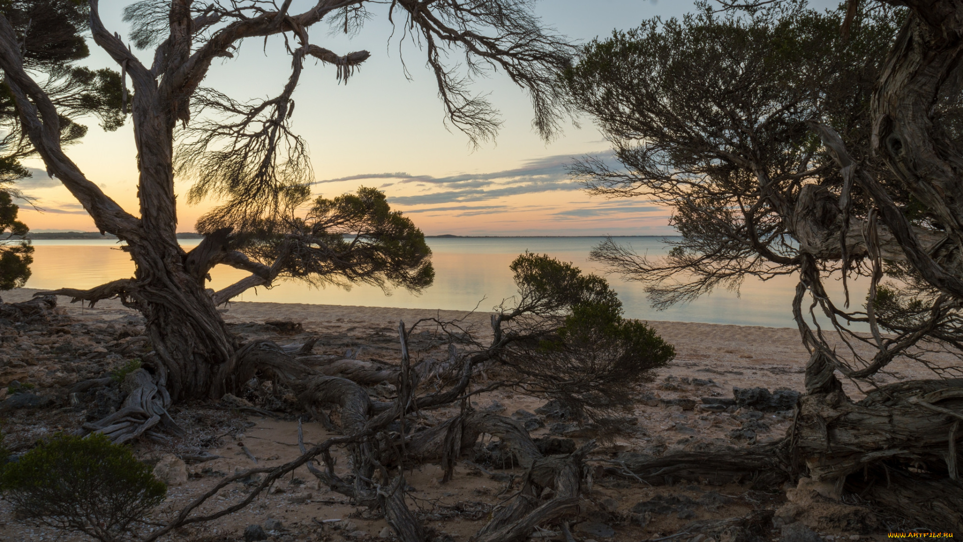 природа, побережье, берег, море