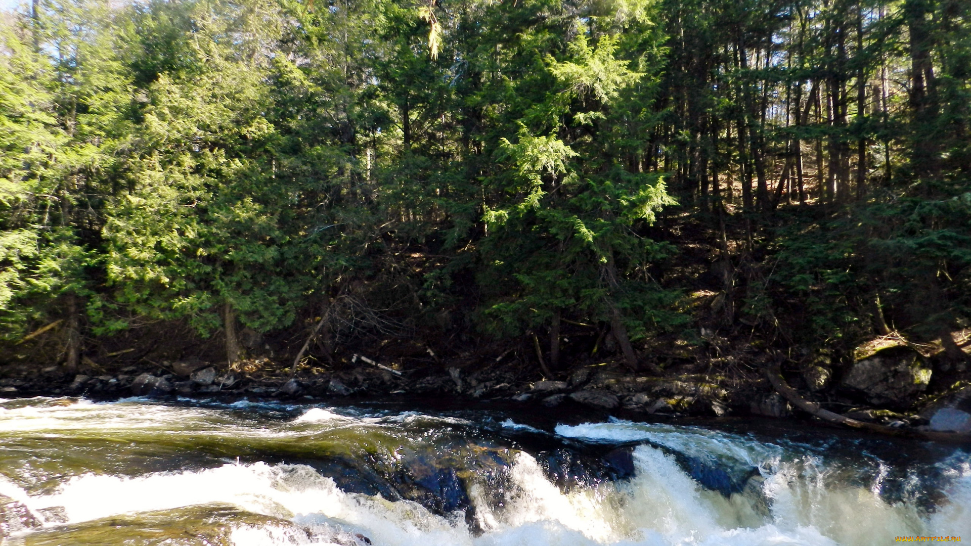 природа, реки, озера, бурная, река