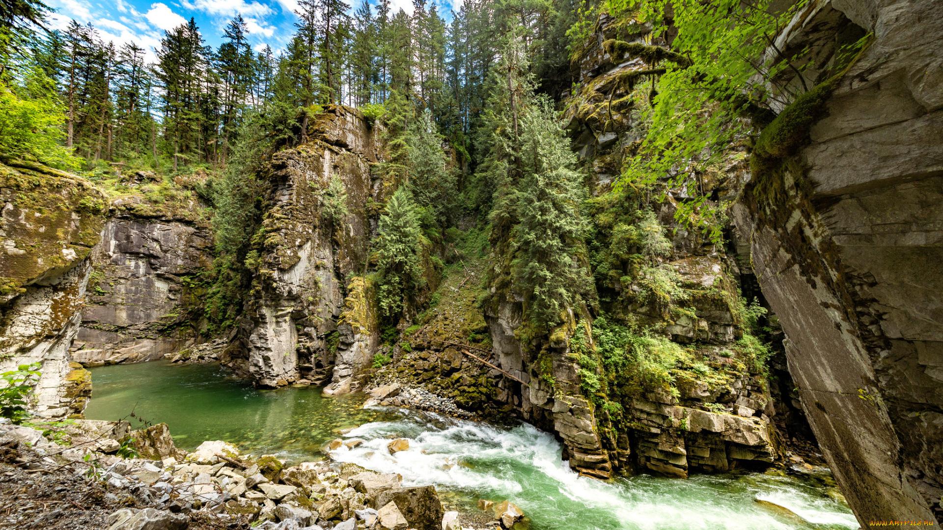 природа, реки, озера, река, лес