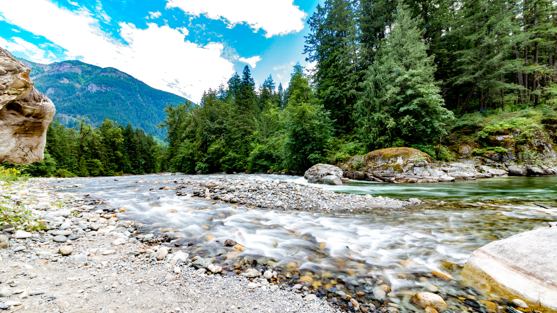 природа, реки, озера, река, лес