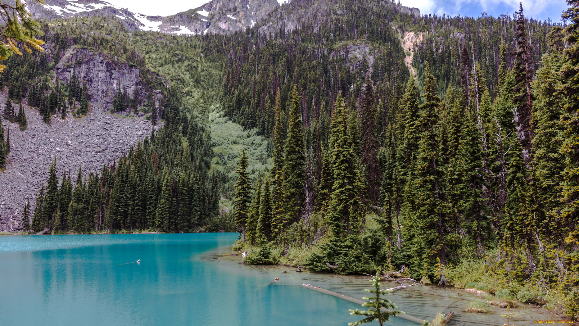 природа, реки, озера, река, лес