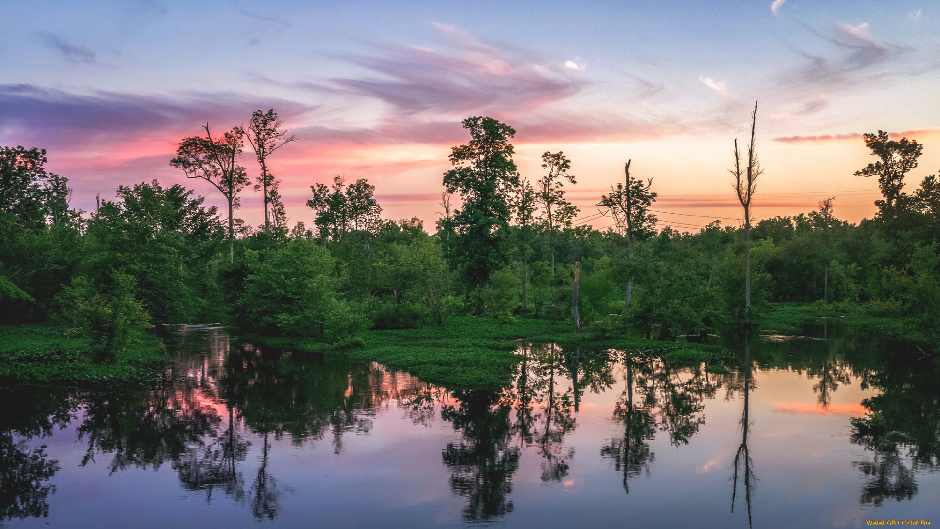 природа, реки, озера, река, лес