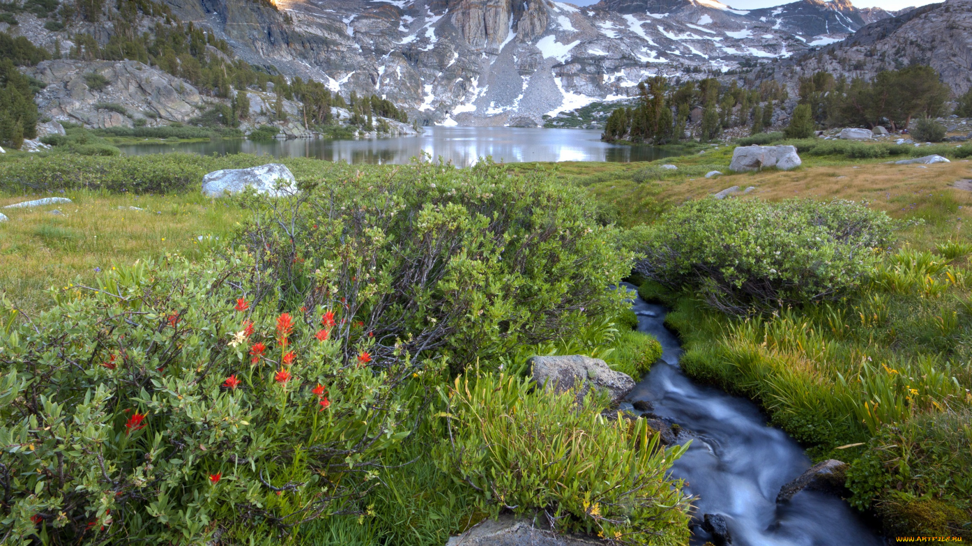 природа, реки, озера, река, лес