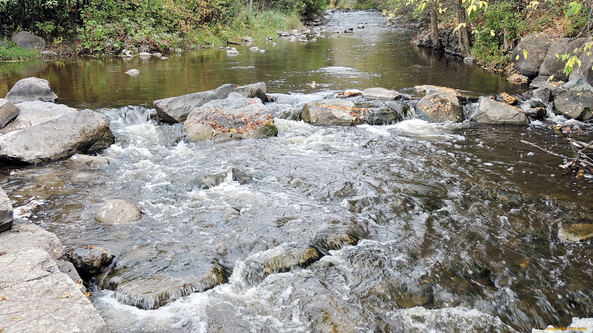 природа, реки, озера, река, вода, камни, пороги