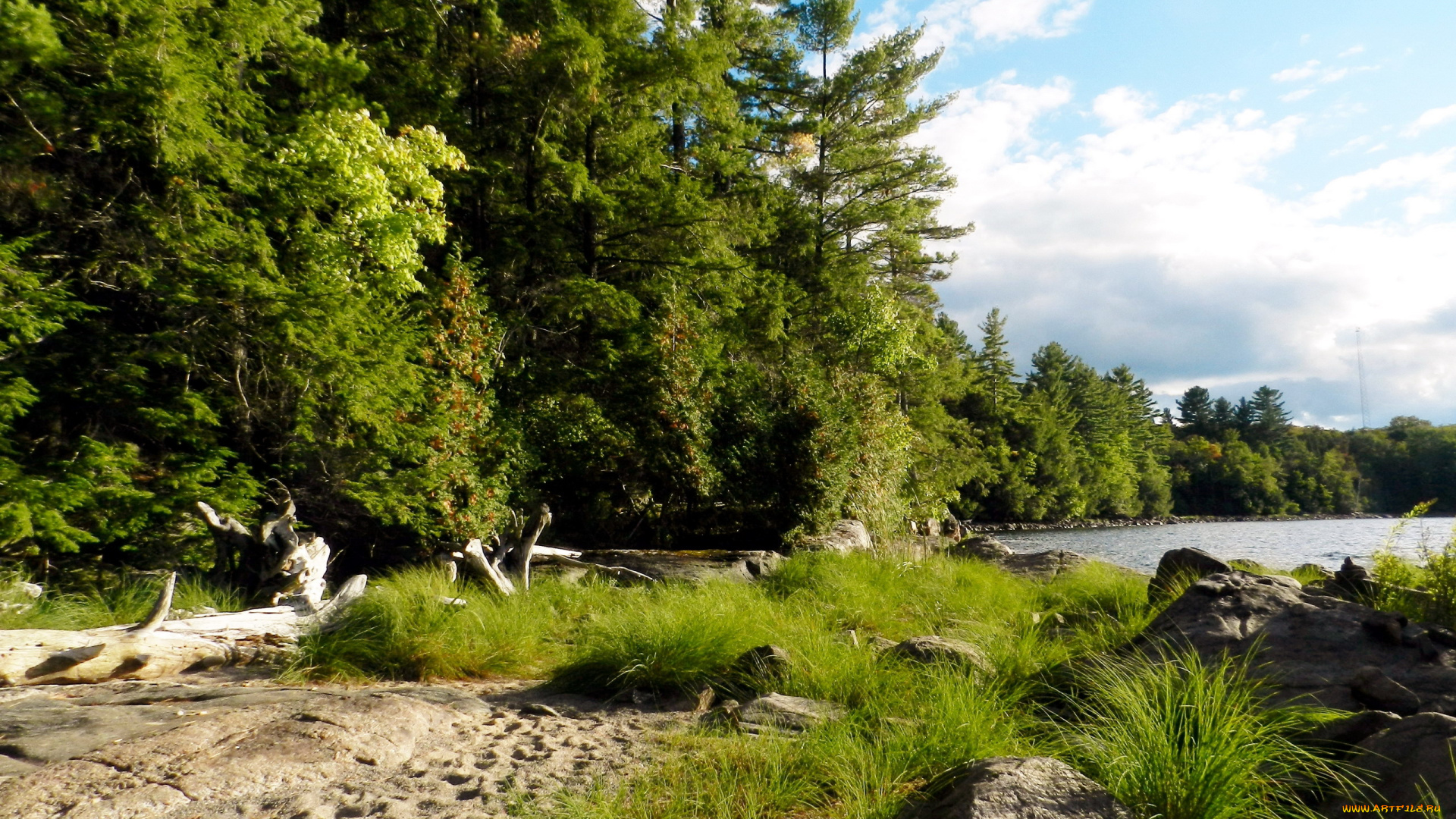 природа, реки, озера, трава, камни