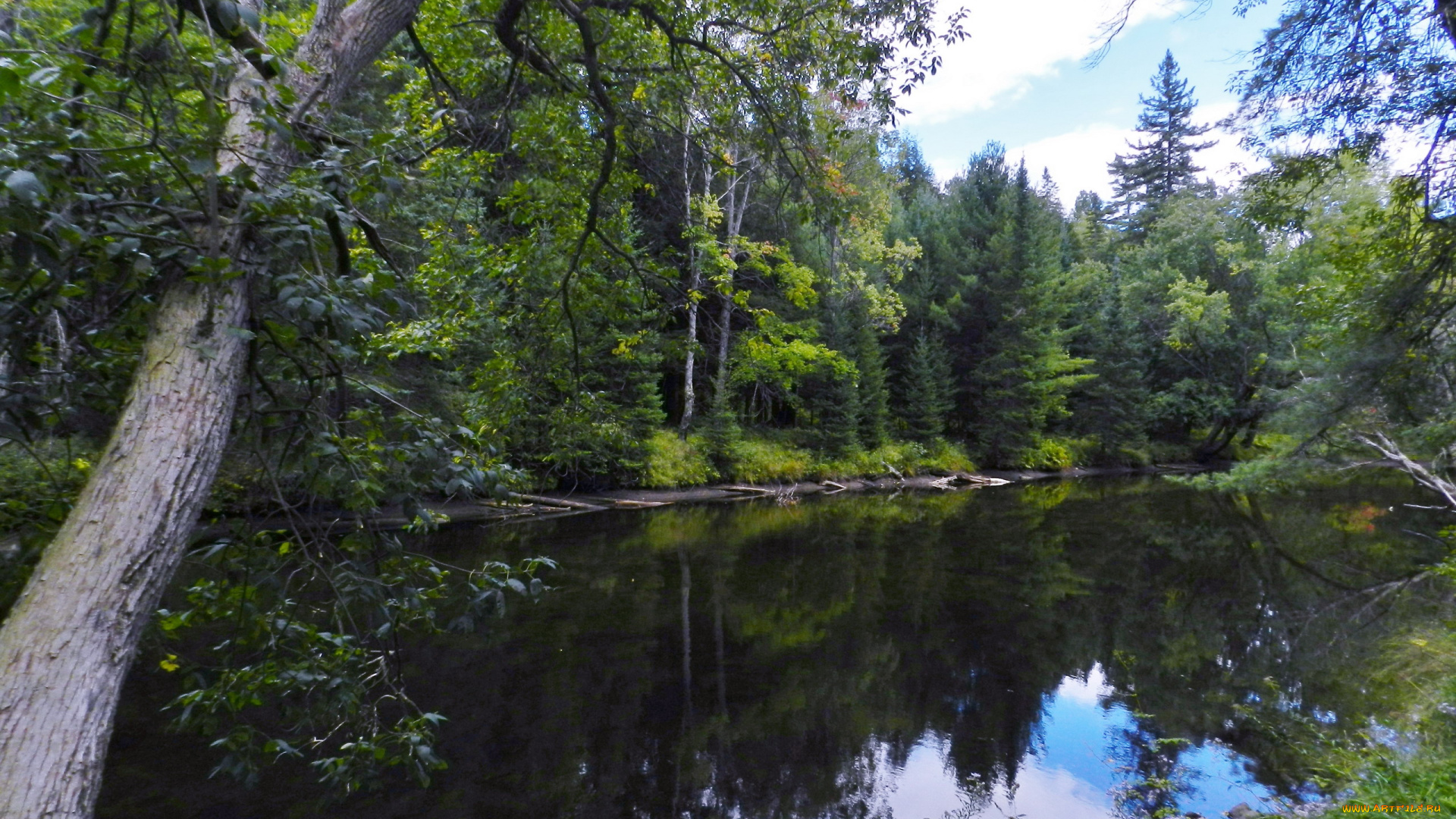 природа, реки, озера, вода, деревья
