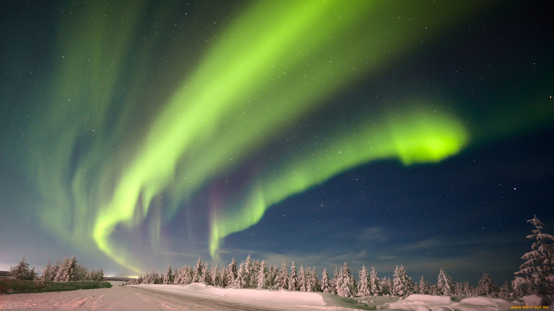 природа, северное, сияние, лес, снег, деревья, небо, звёзды, северное, сияние, зима