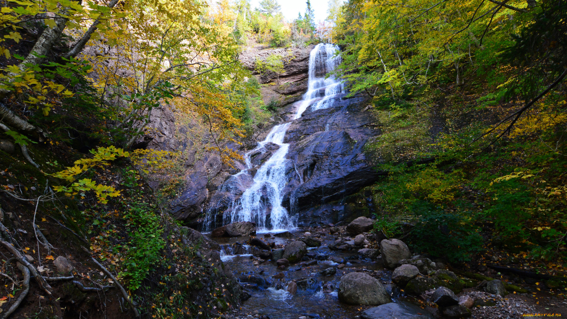природа, водопады, водопад, река, лес