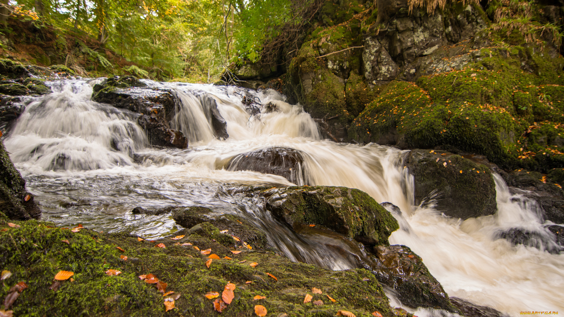 природа, водопады, водопад, река, лес