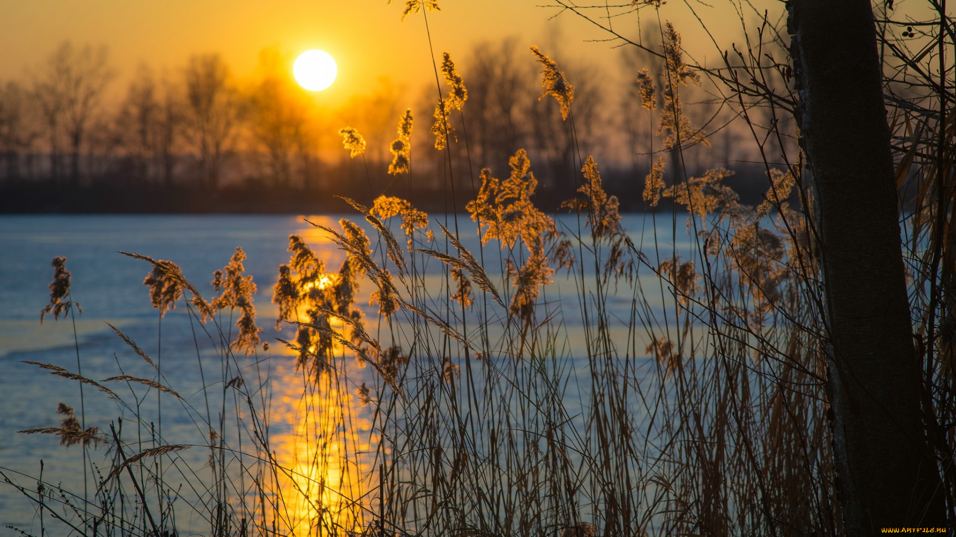 природа, восходы, закаты, рассвет