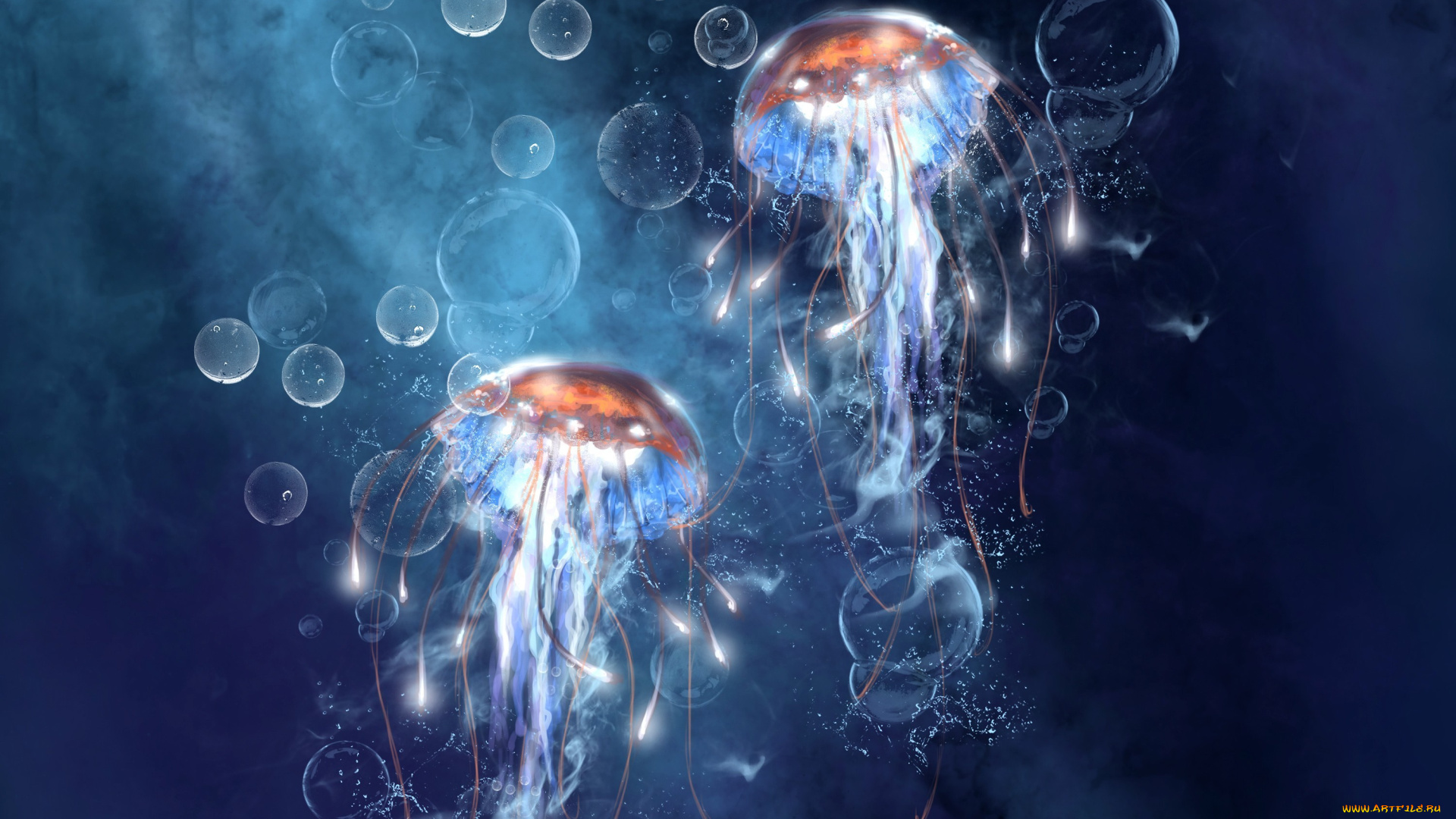 рисованное, животные, вода, океан, медузы, мир, подводный, море