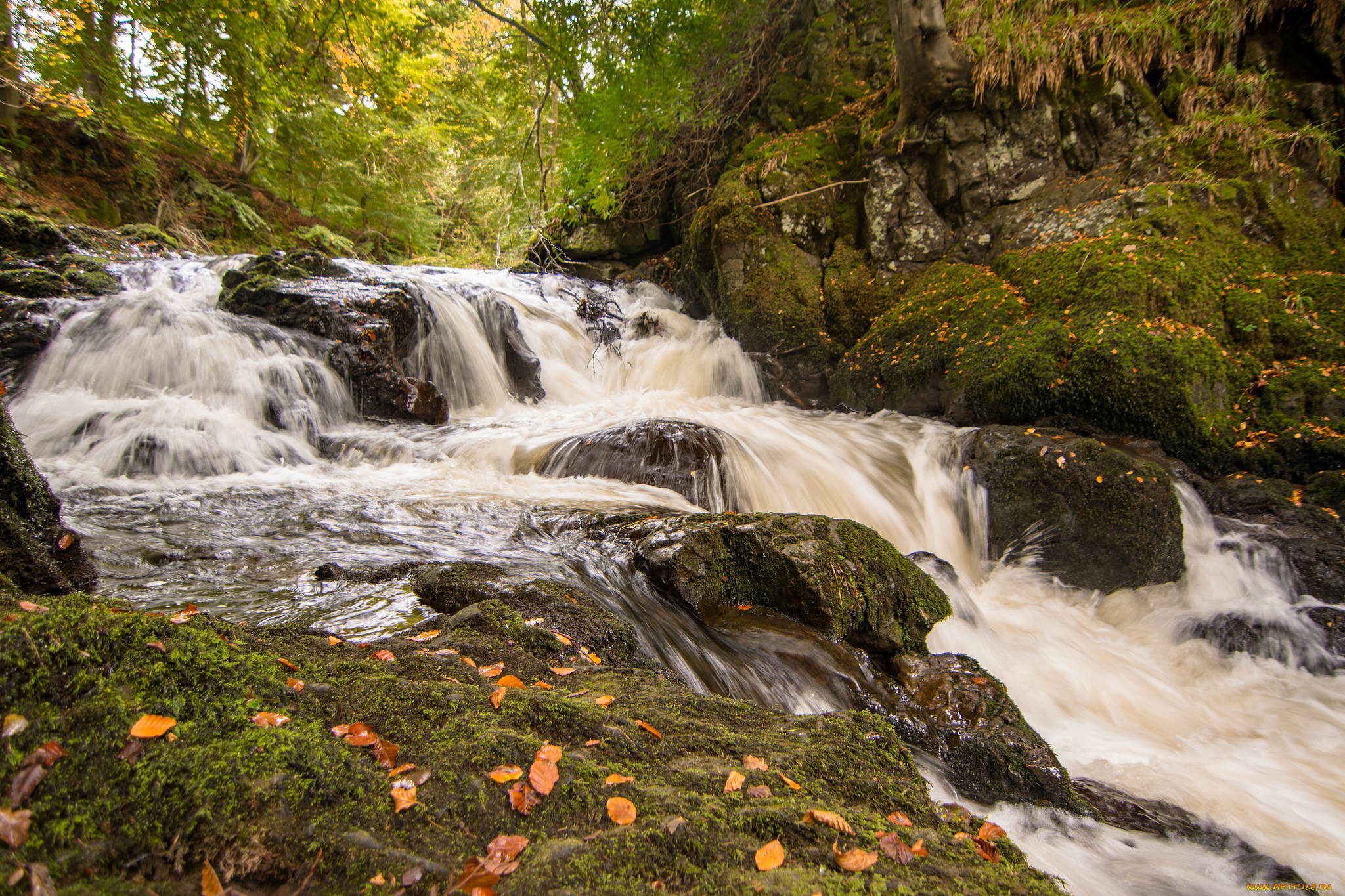 природа, водопады, водопад, река, лес