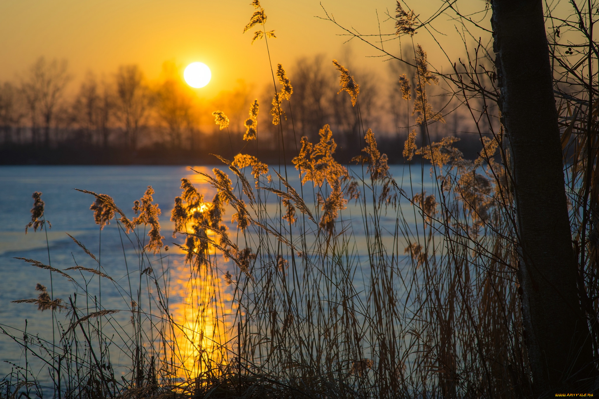 природа, восходы, закаты, рассвет