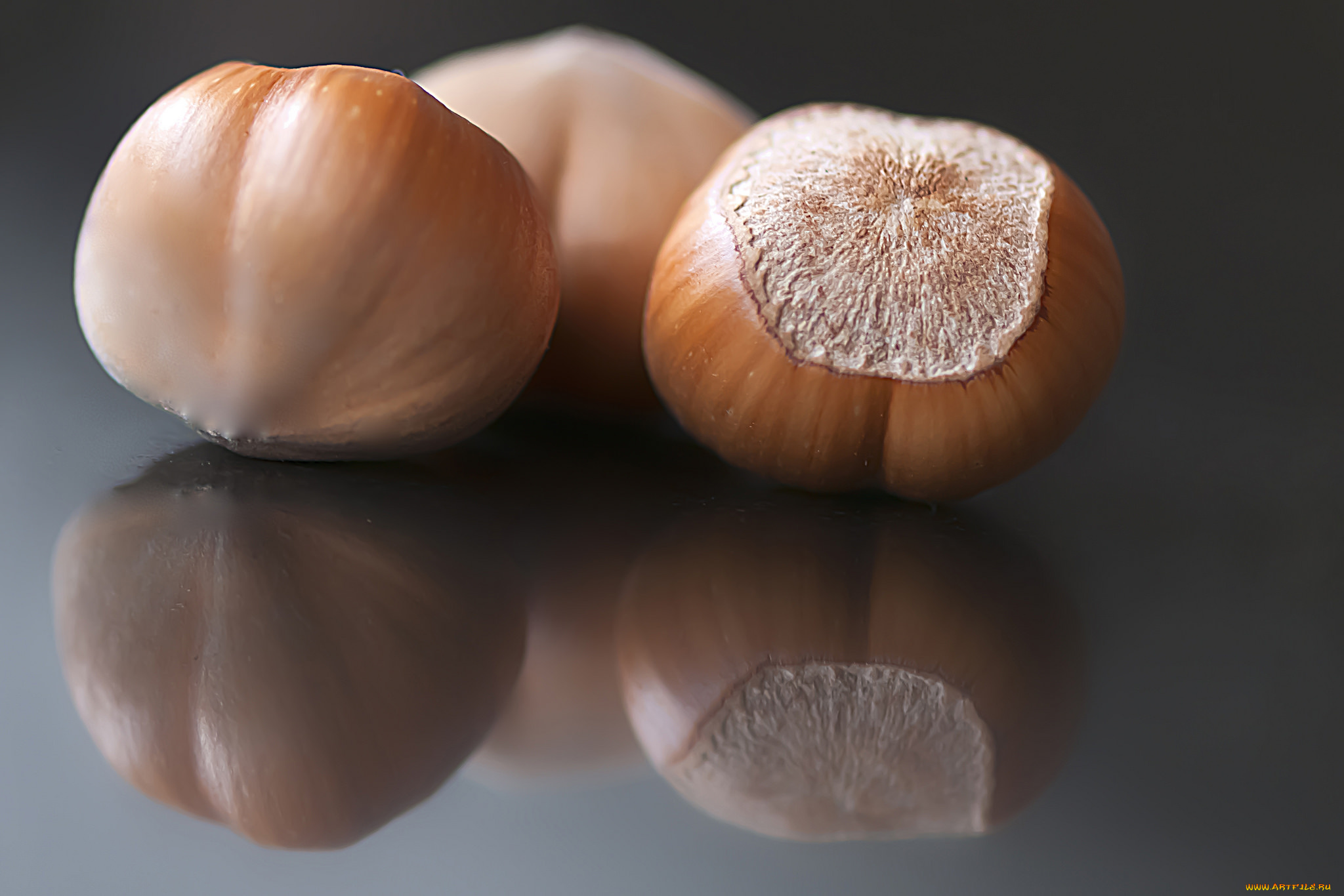 еда, орехи, , каштаны, , какао-бобы, фундук