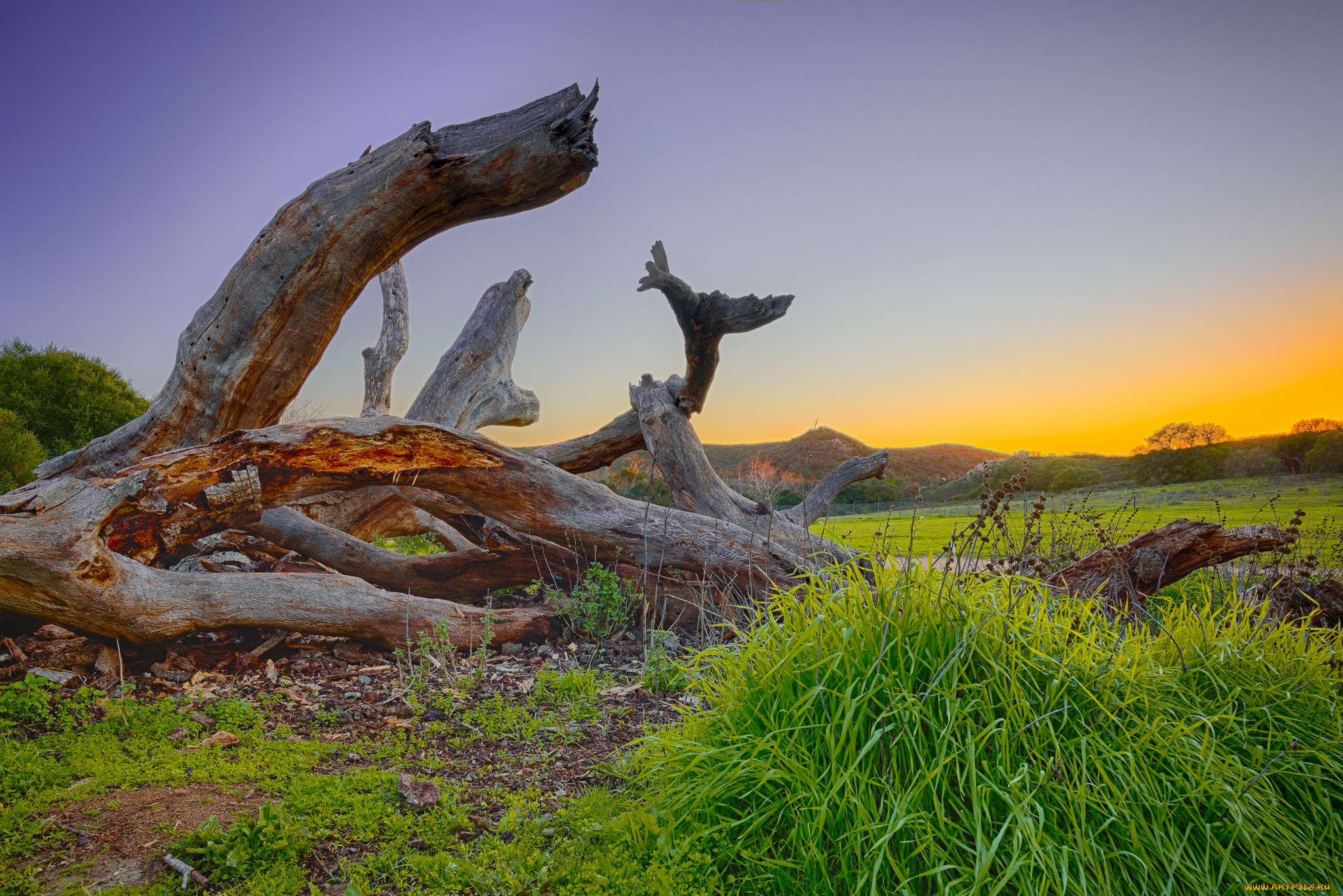 природа, пейзажи, рассвет