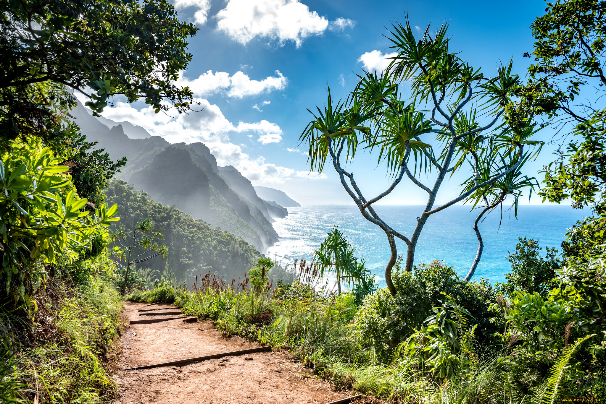 природа, побережье, берег, море