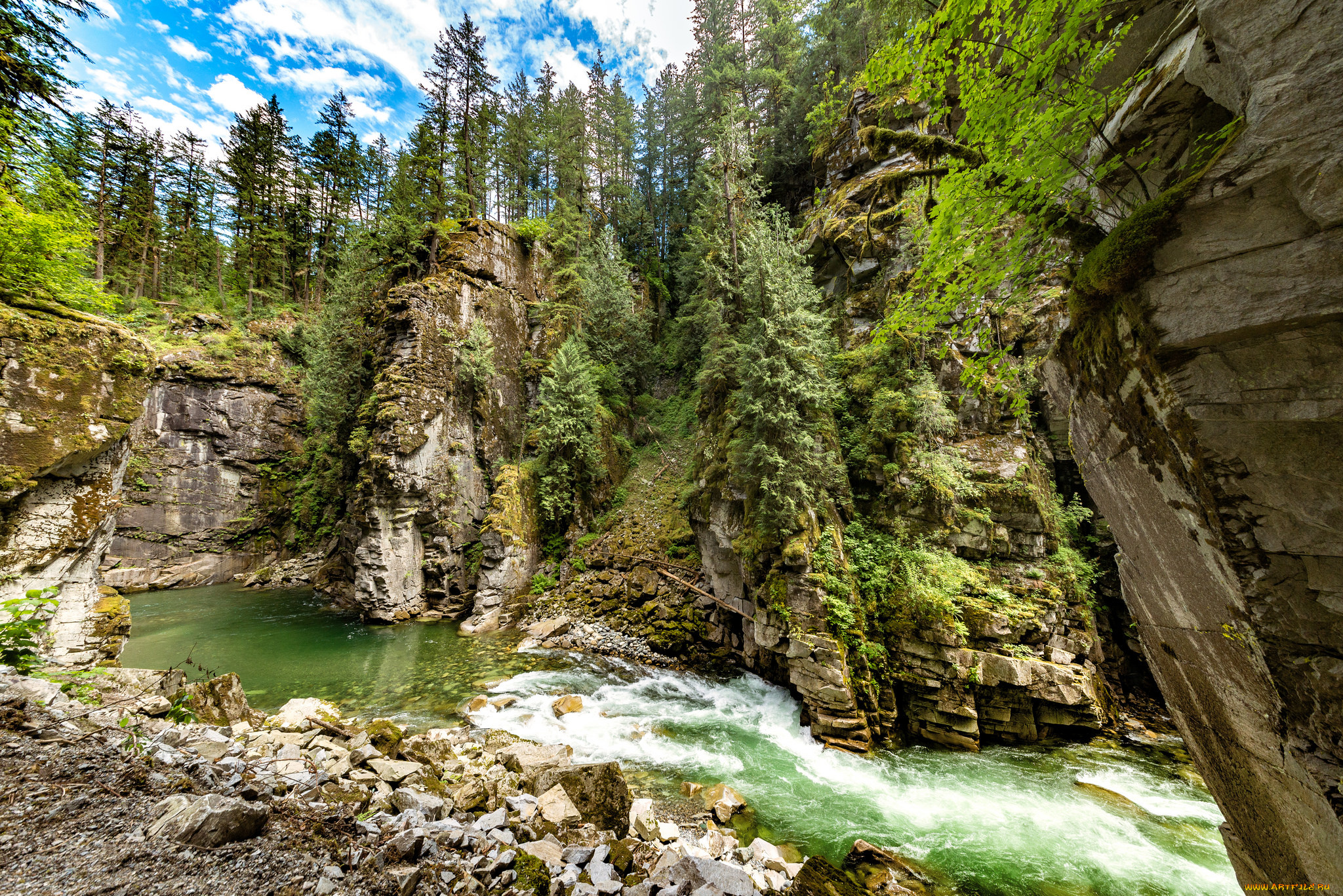 природа, реки, озера, река, лес