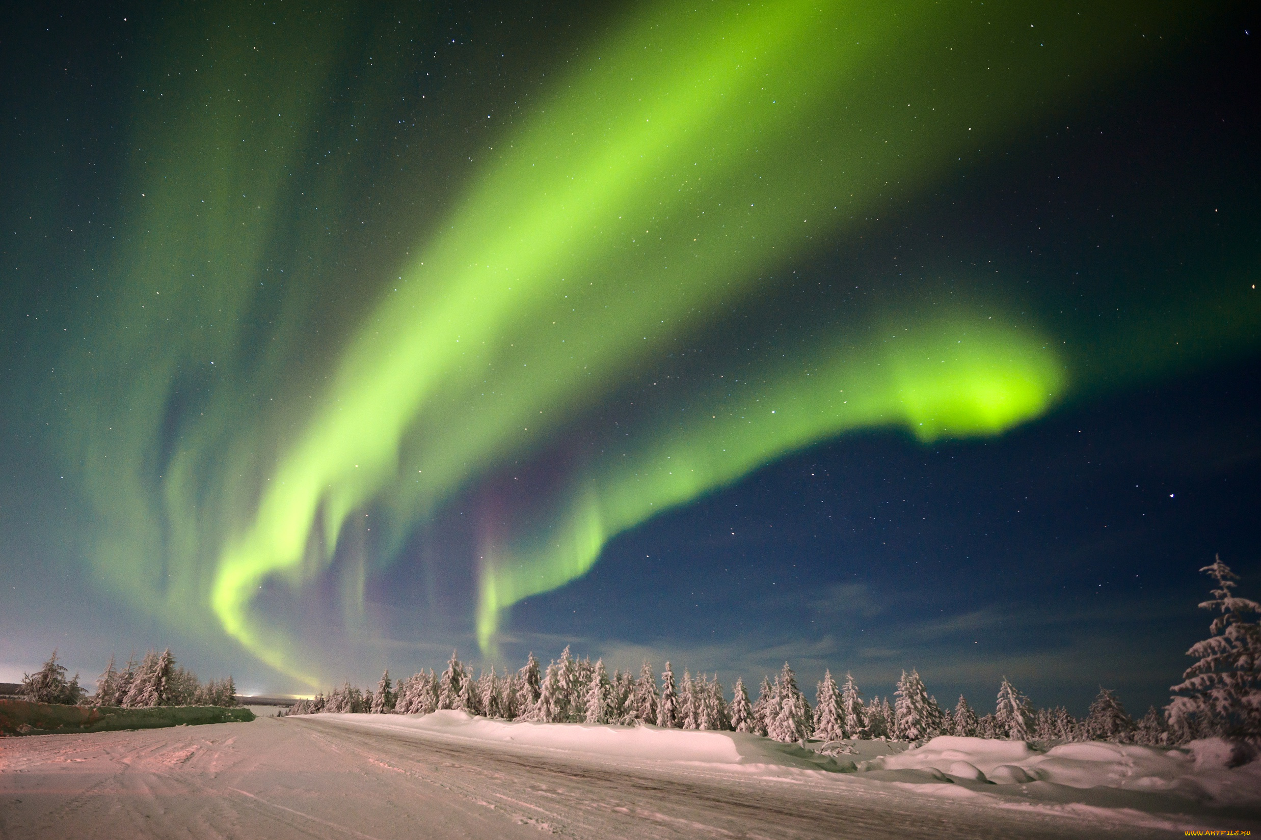 природа, северное, сияние, лес, снег, деревья, небо, звёзды, северное, сияние, зима