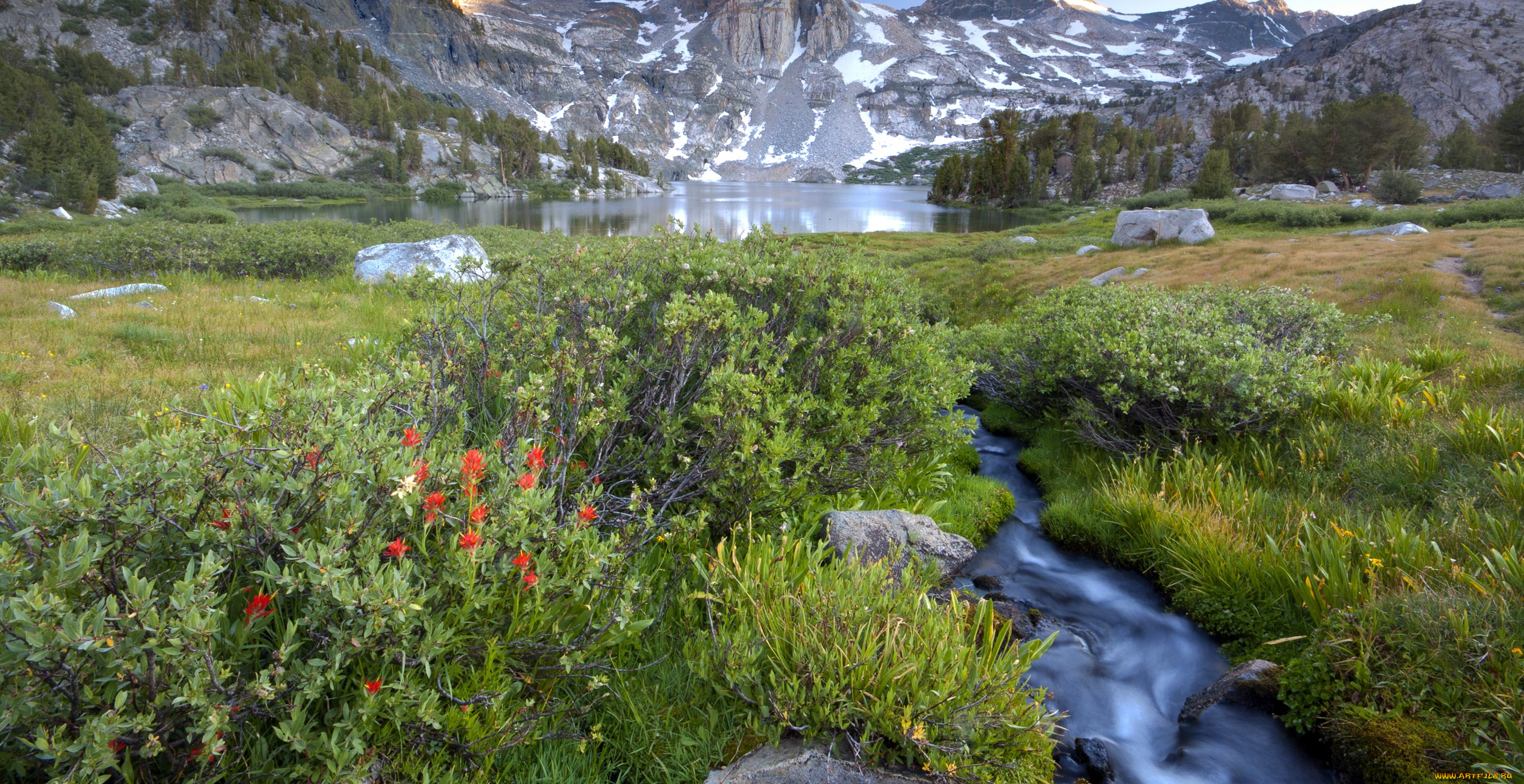 природа, реки, озера, река, лес