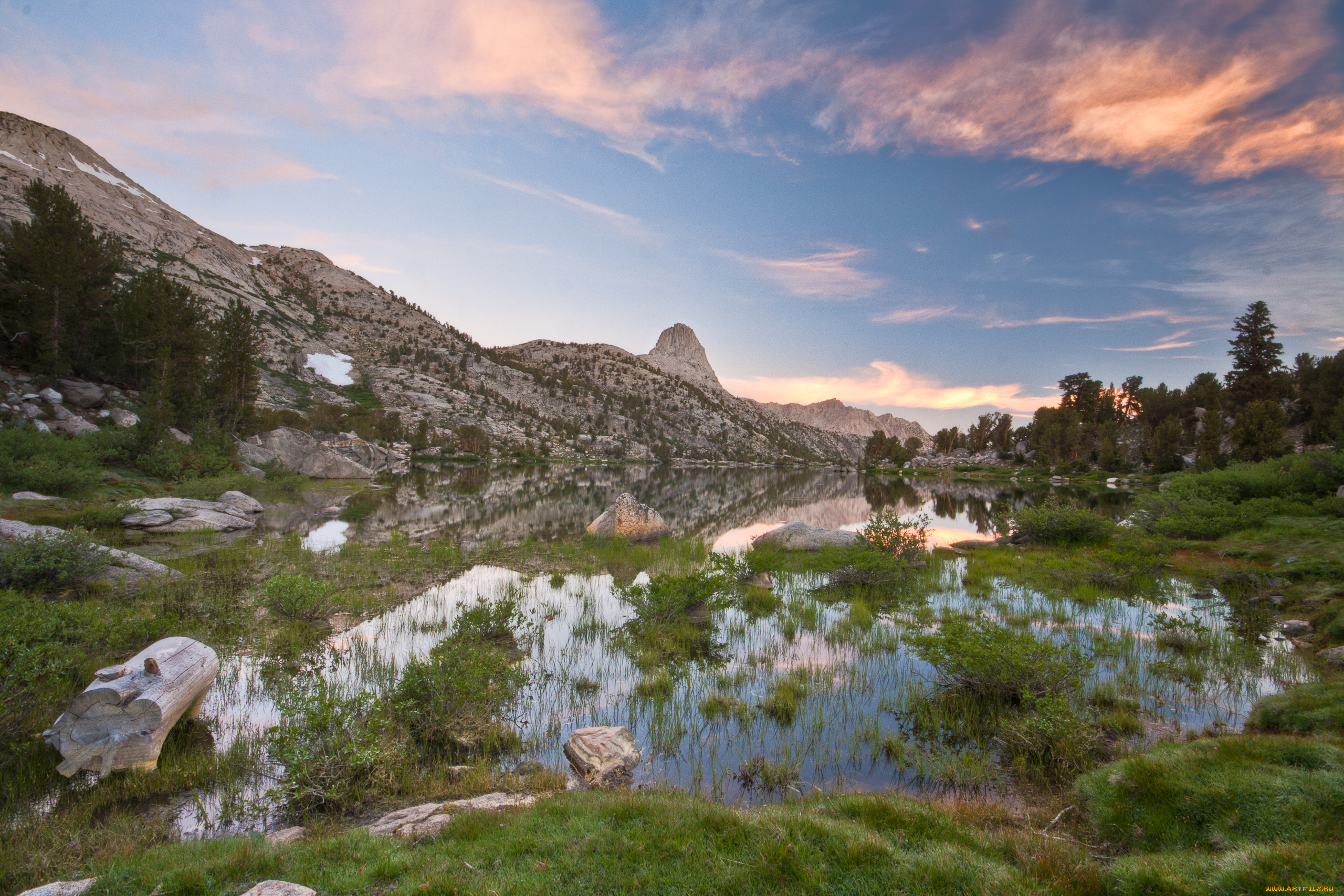 природа, реки, озера, река, лес