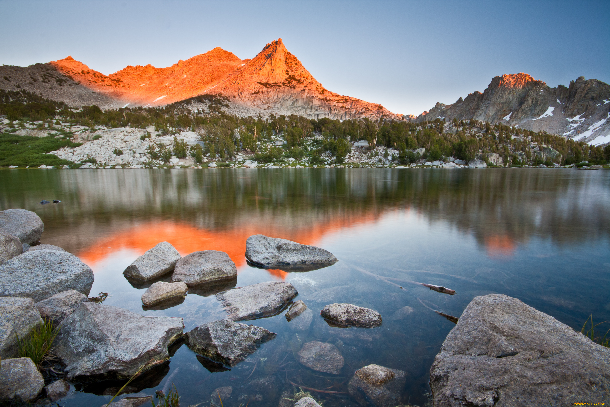 природа, реки, озера, река, лес