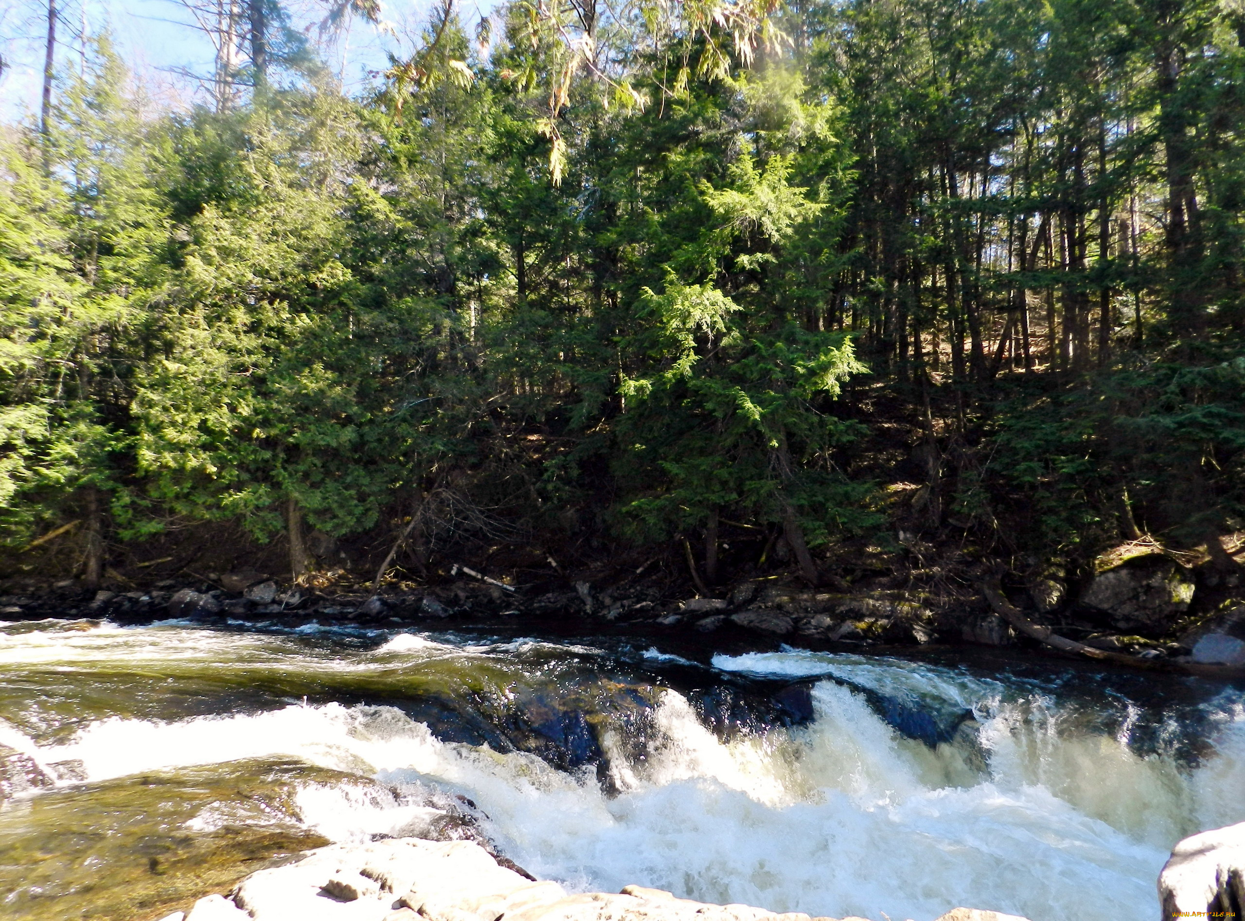 природа, реки, озера, бурная, река