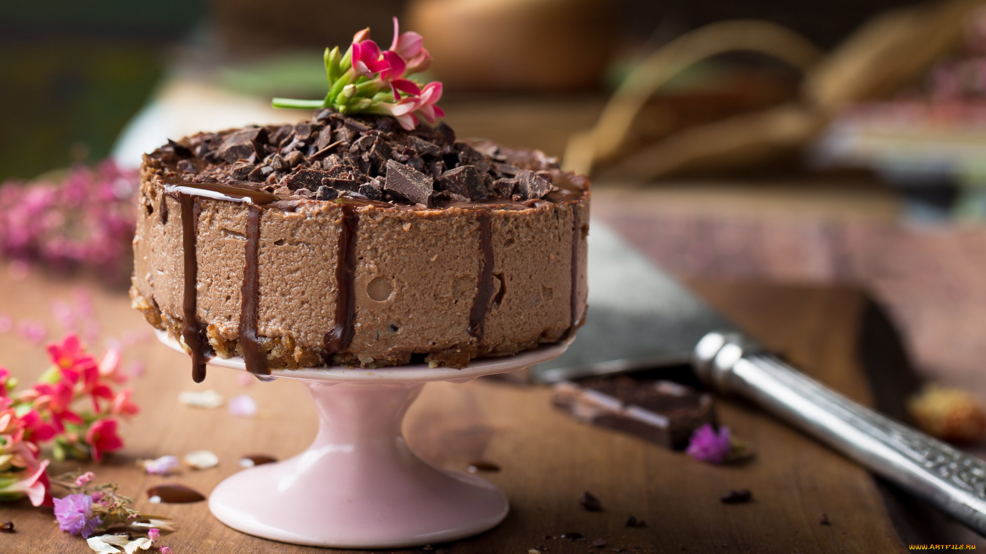 еда, торты, шоколад, лакомство, торт
