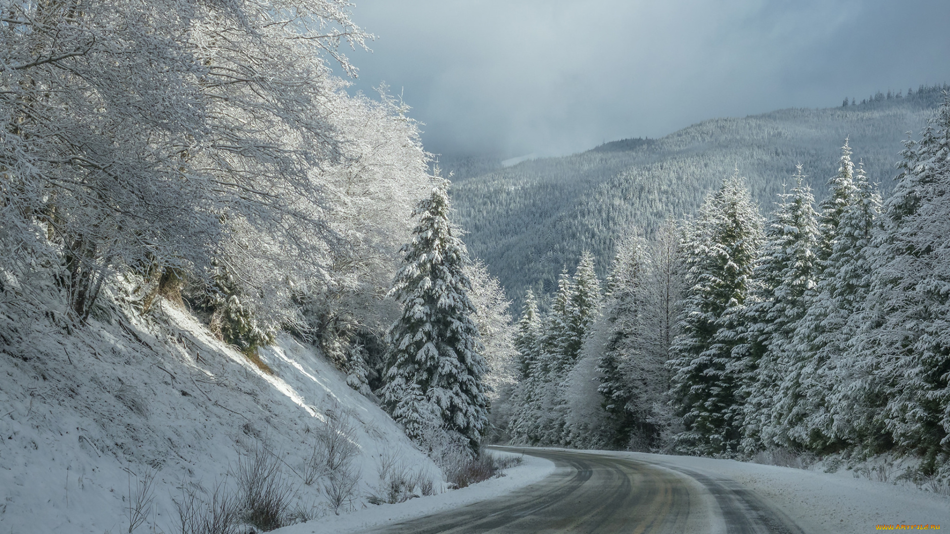 природа, дороги, простор