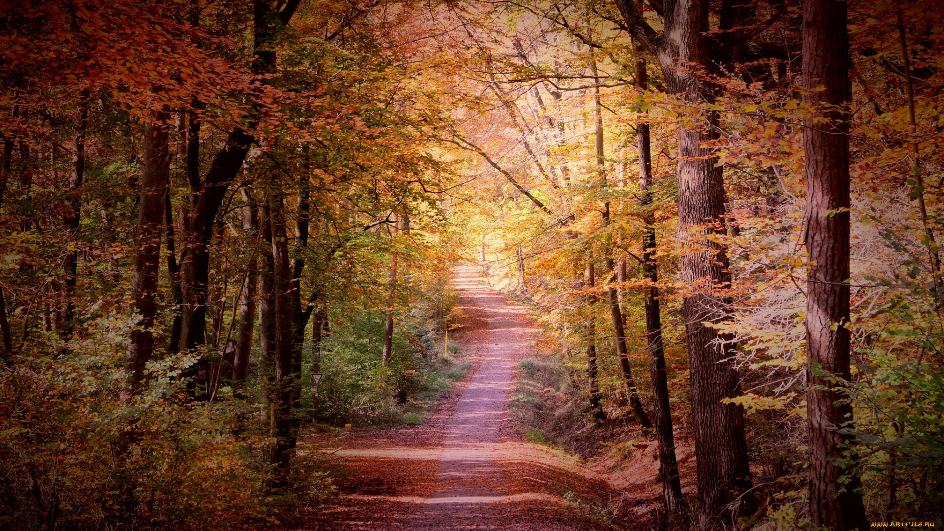 природа, дороги, простор