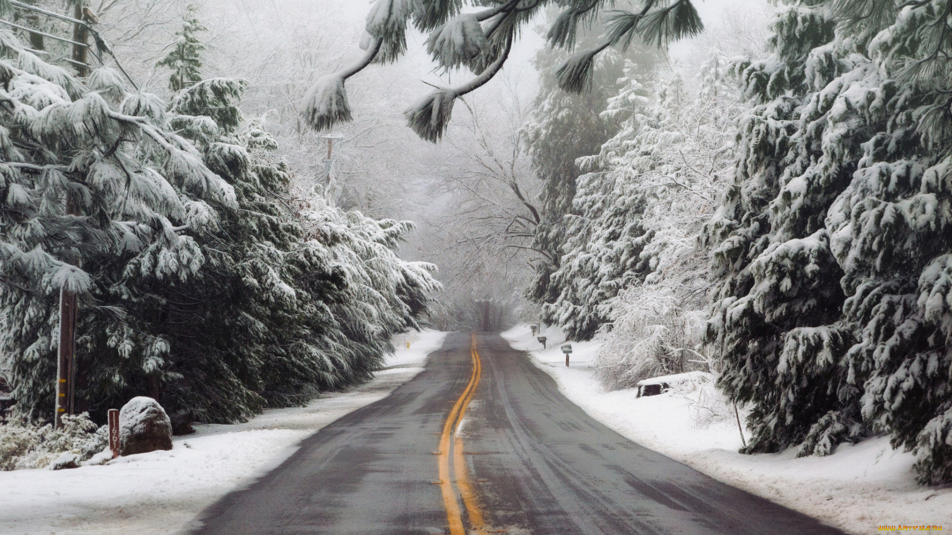 природа, дороги, простор