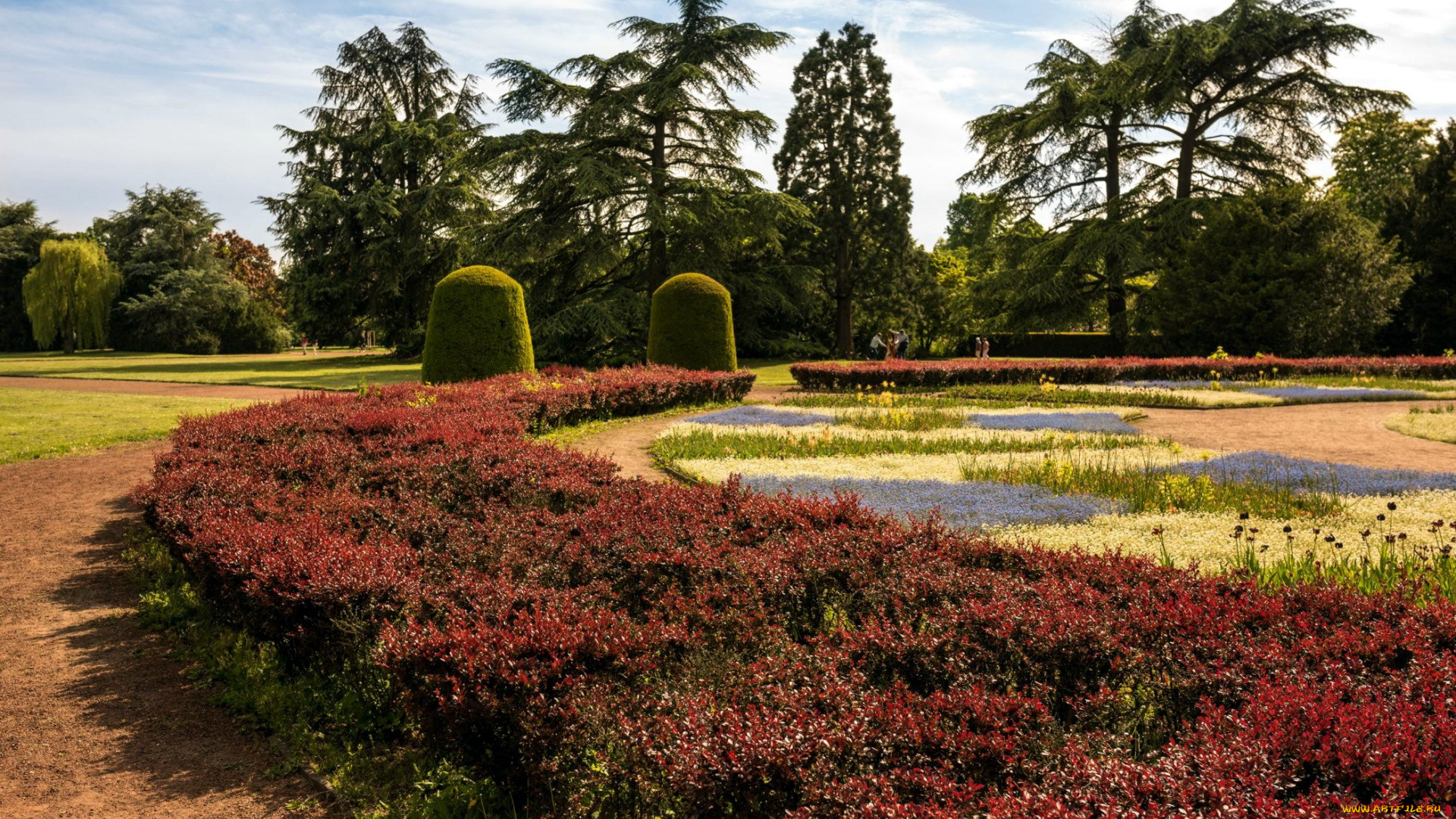 природа, парк, клумбы
