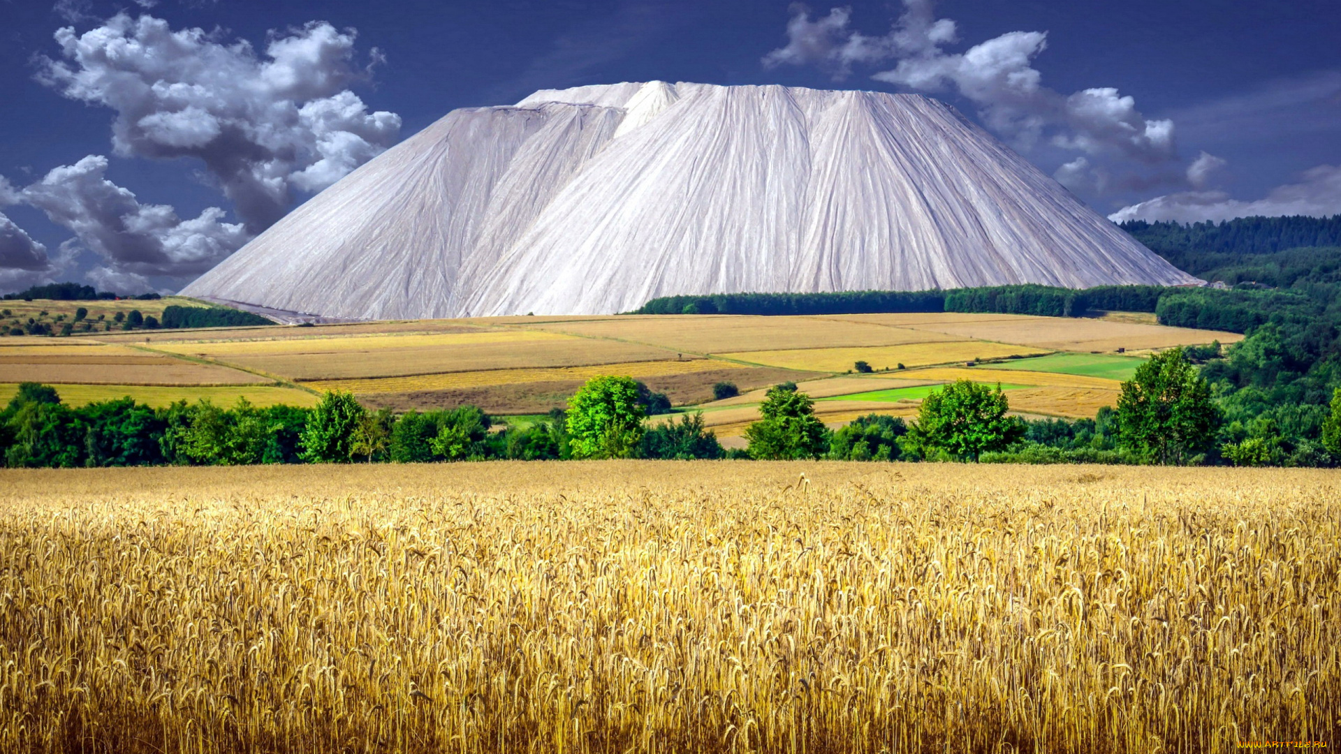 природа, пейзажи, пшеница, поле, горы