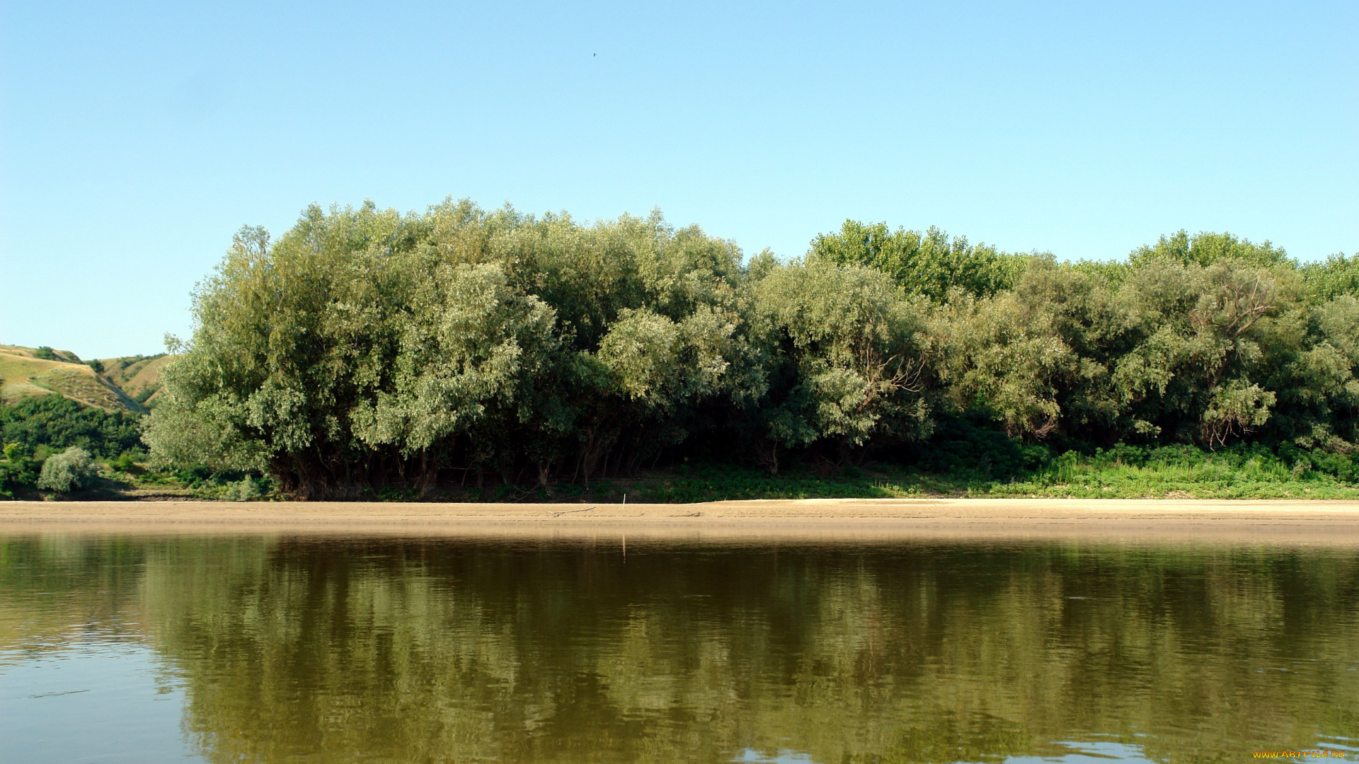 природа, реки, озера, берег, река, лето