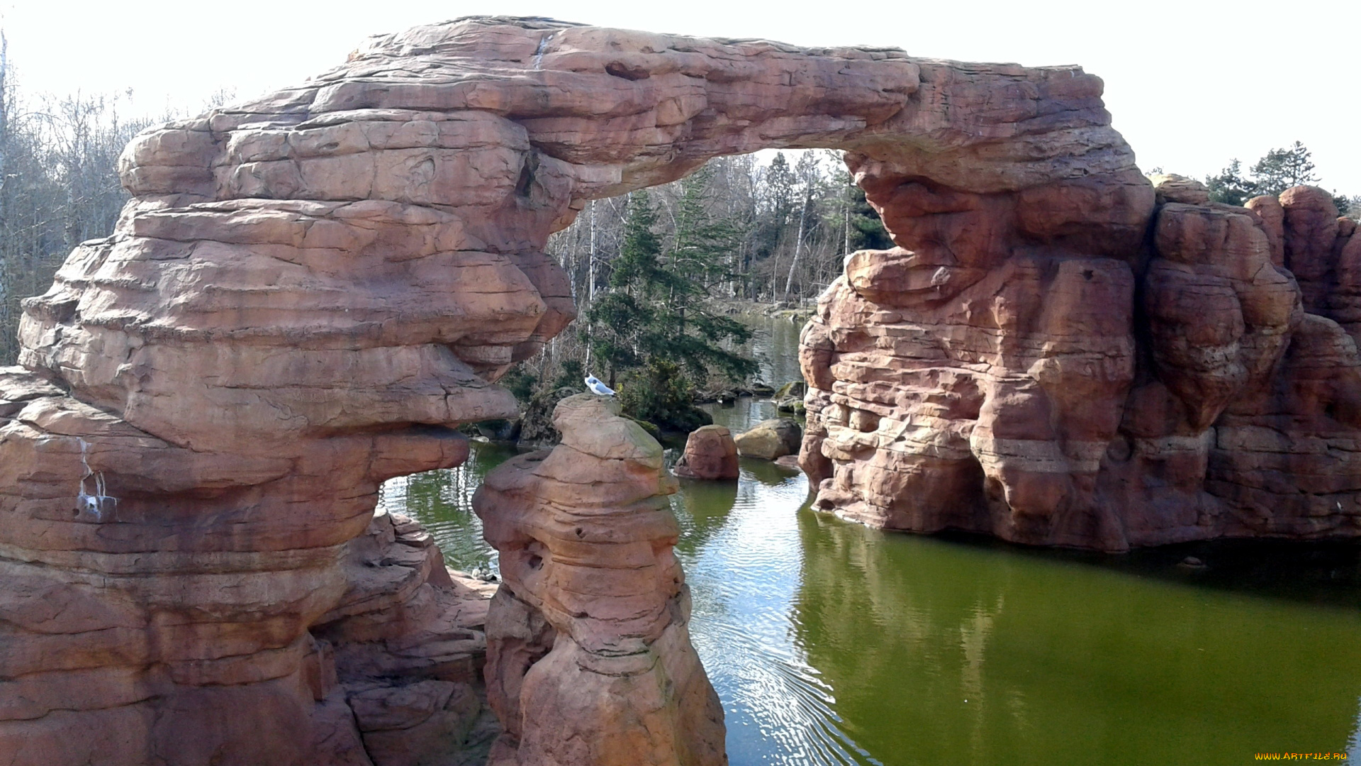 природа, реки, озера, река, скалы