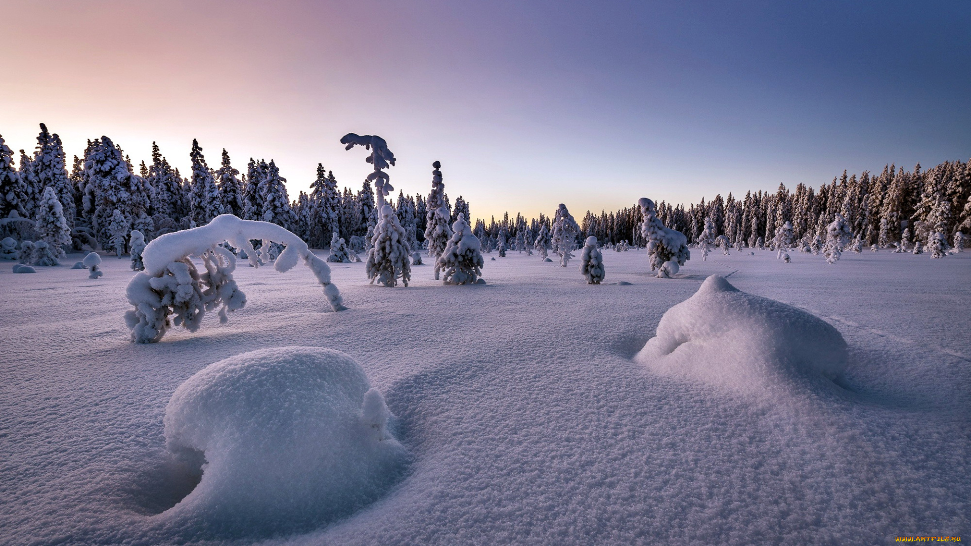 природа, зима, сугробы, снег