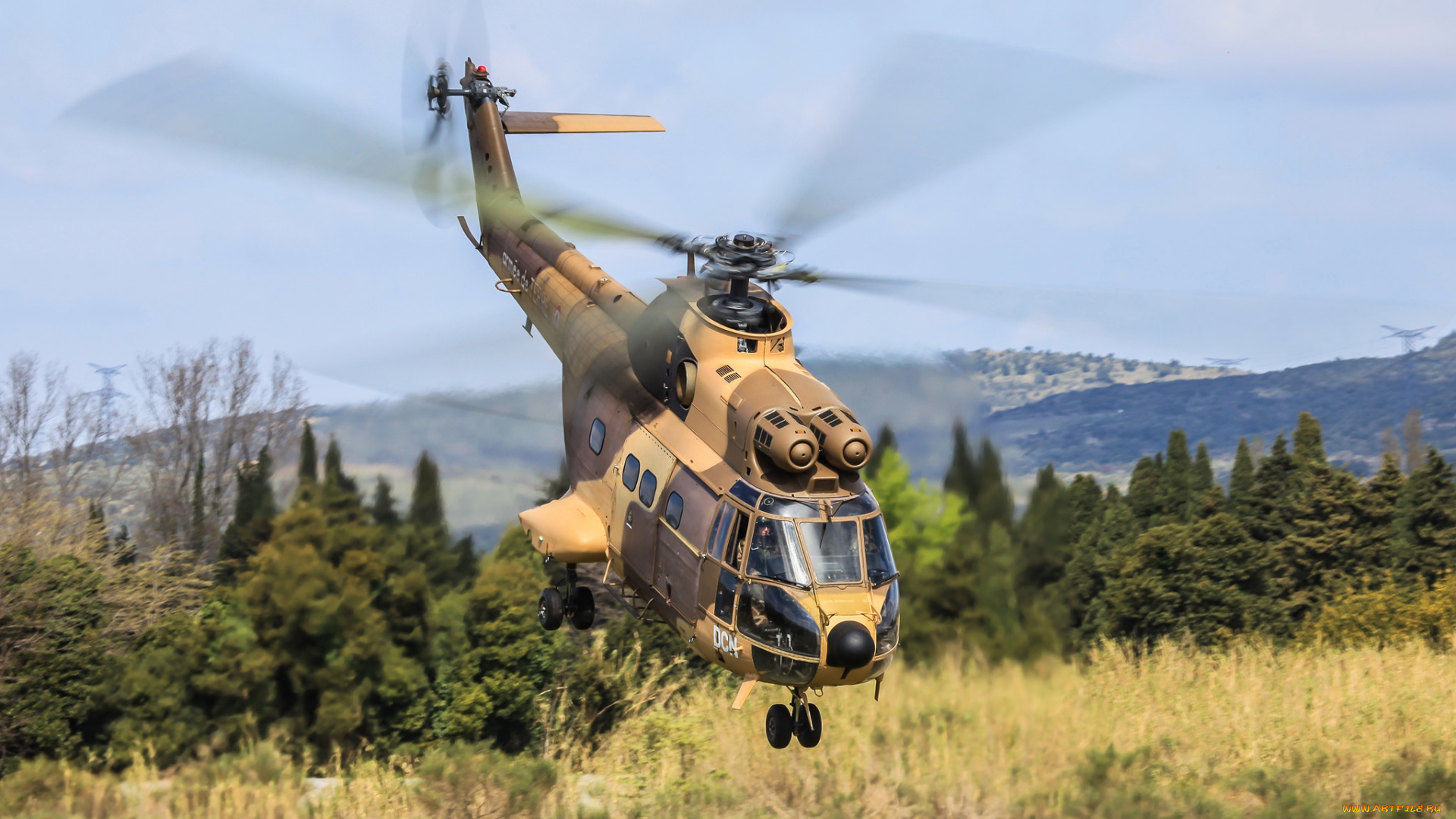 puma, авиация, вертолёты, вертушка